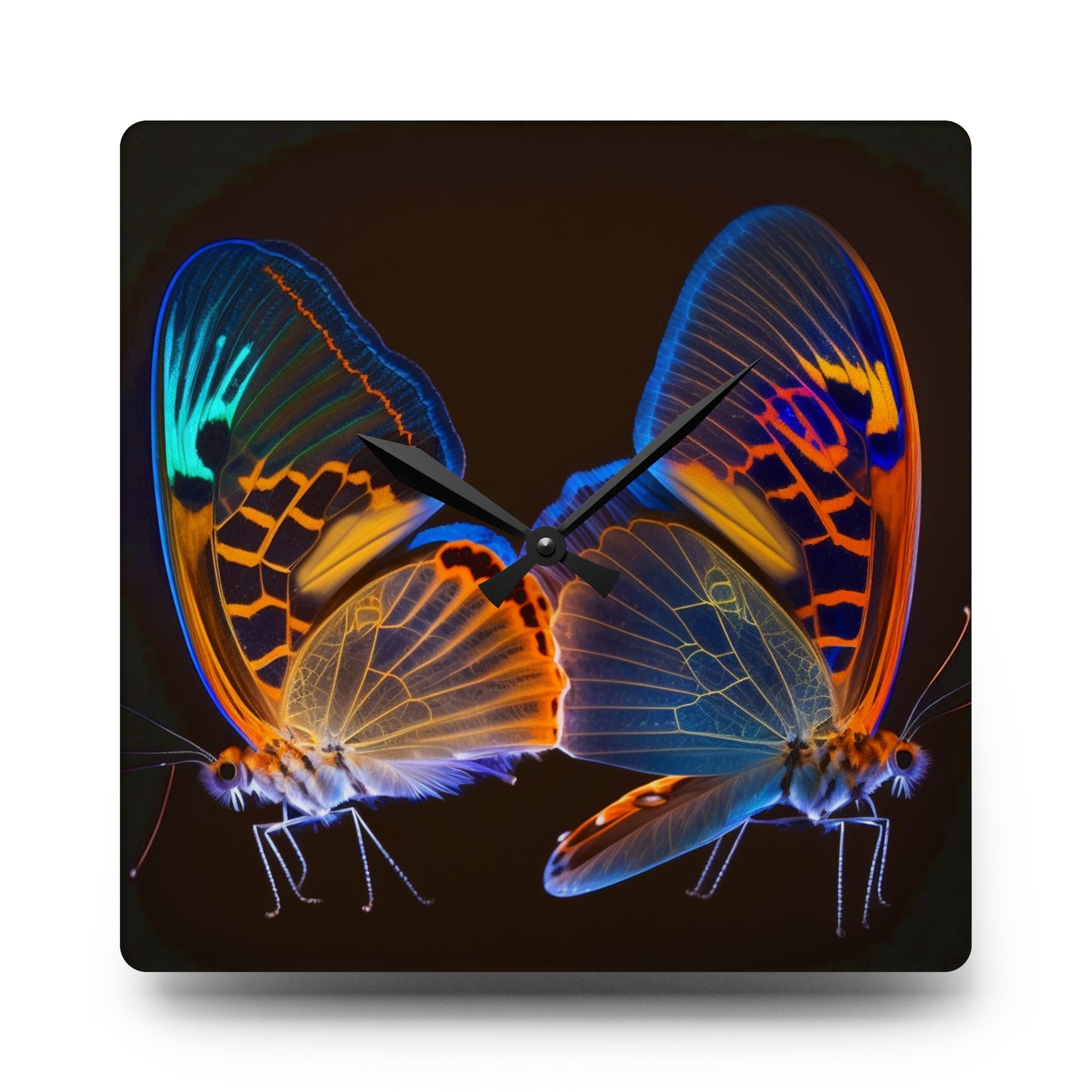 Acrylic Wall Clock Neon Glo Butterfly 2