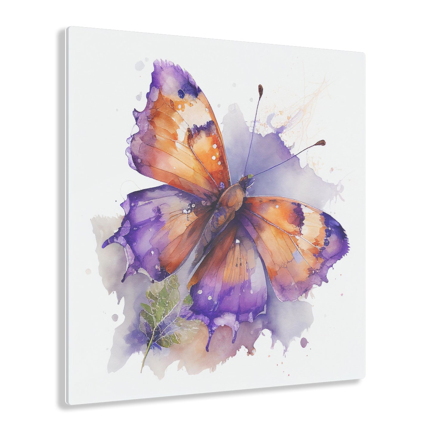 Acrylic Prints MerlinRose Watercolor Butterfly 2