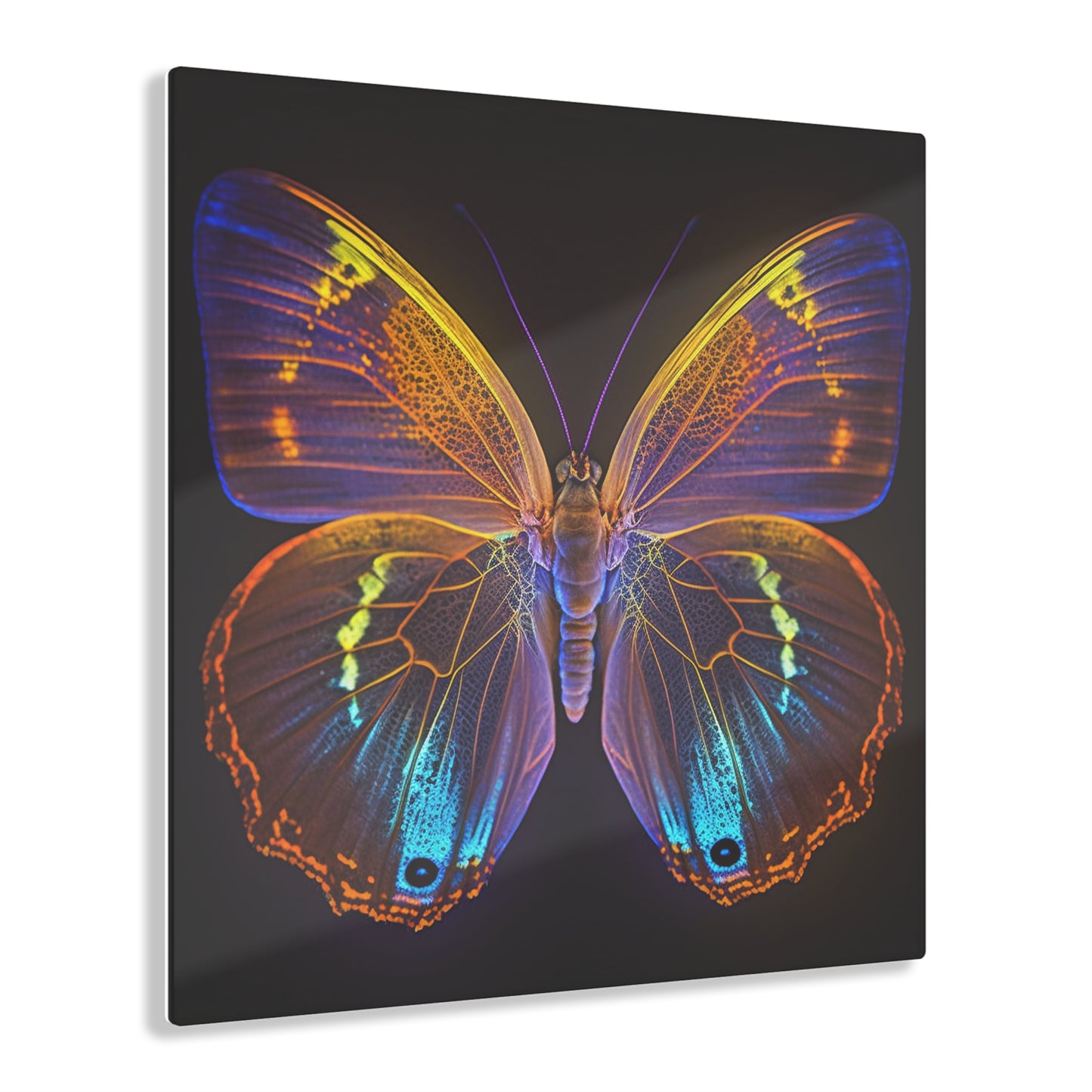 Acrylic Prints Neon Butterfly Flair 2