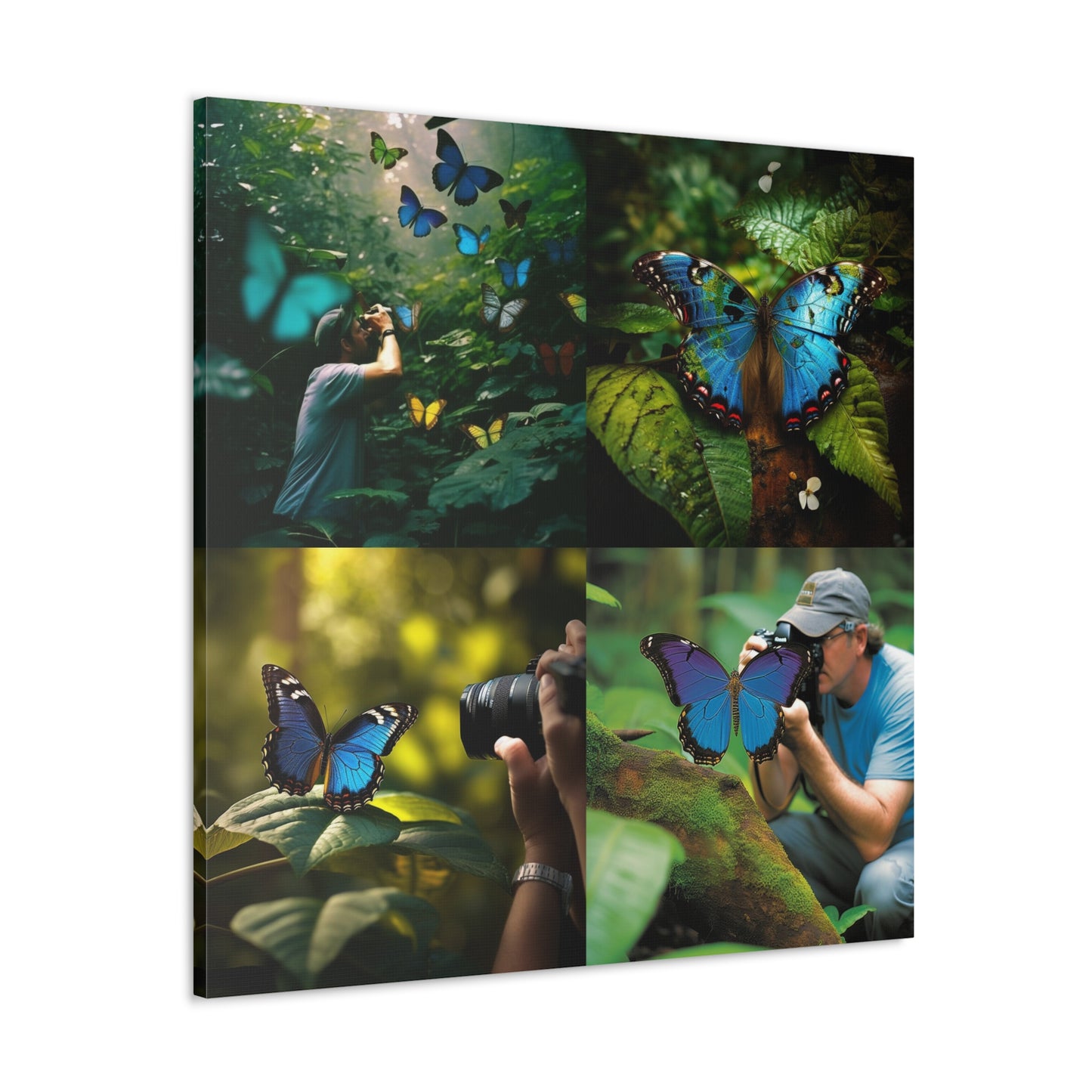 Canvas Gallery Wraps Jungle Butterfly 5