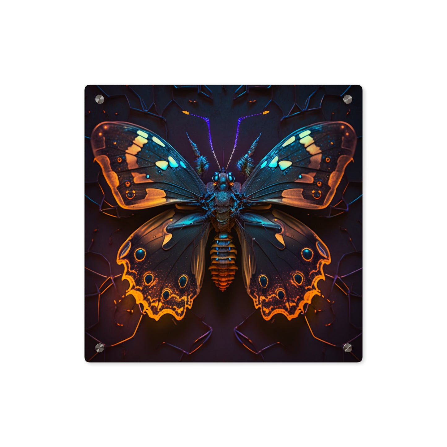 Acrylic Wall Art Panels Neon Hue Butterfly 2