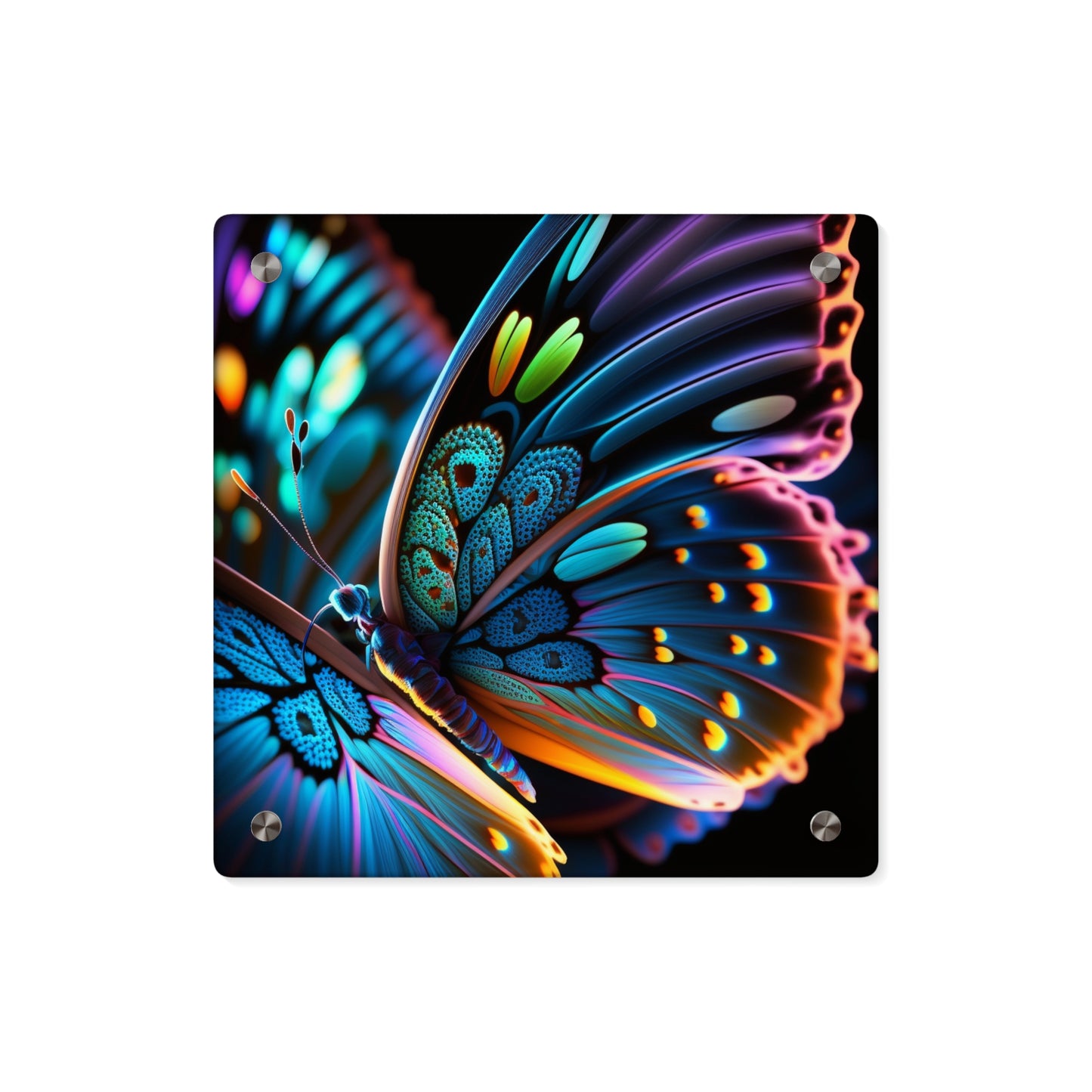 Acrylic Wall Art Panels Neon Butterfly Macro 2