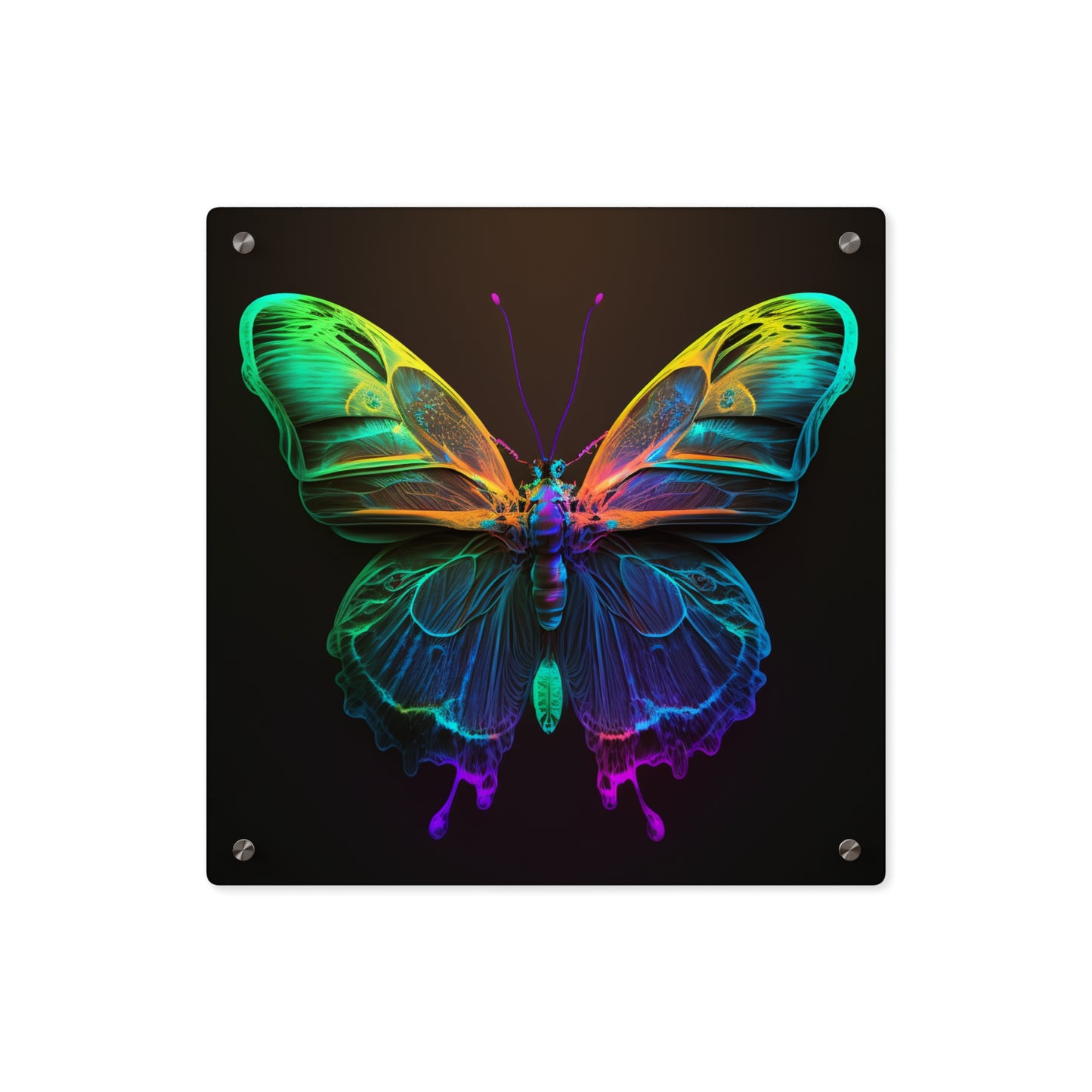 Acrylic Wall Art Panels Raw Hyper Color Butterfly 3