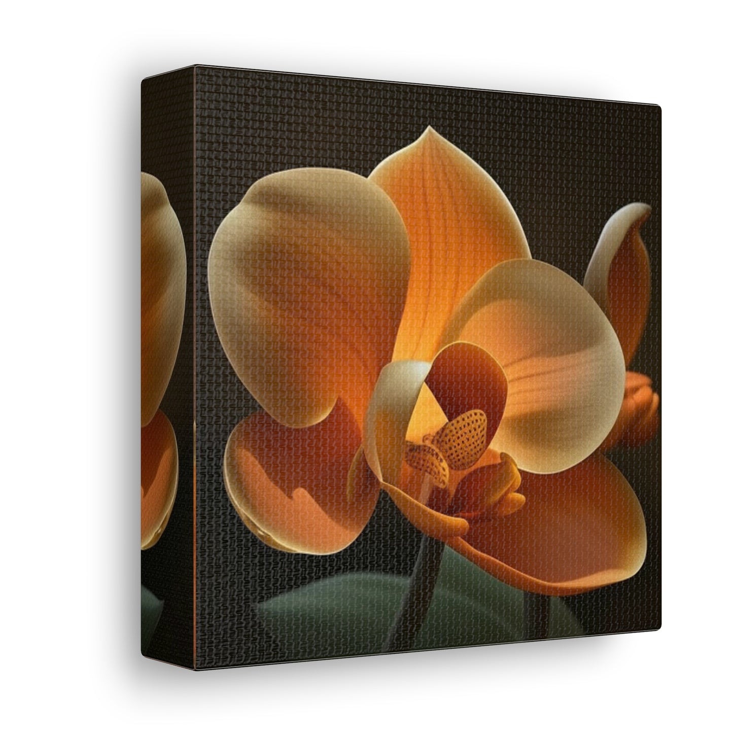 Canvas Gallery Wraps Orange Orchid 4