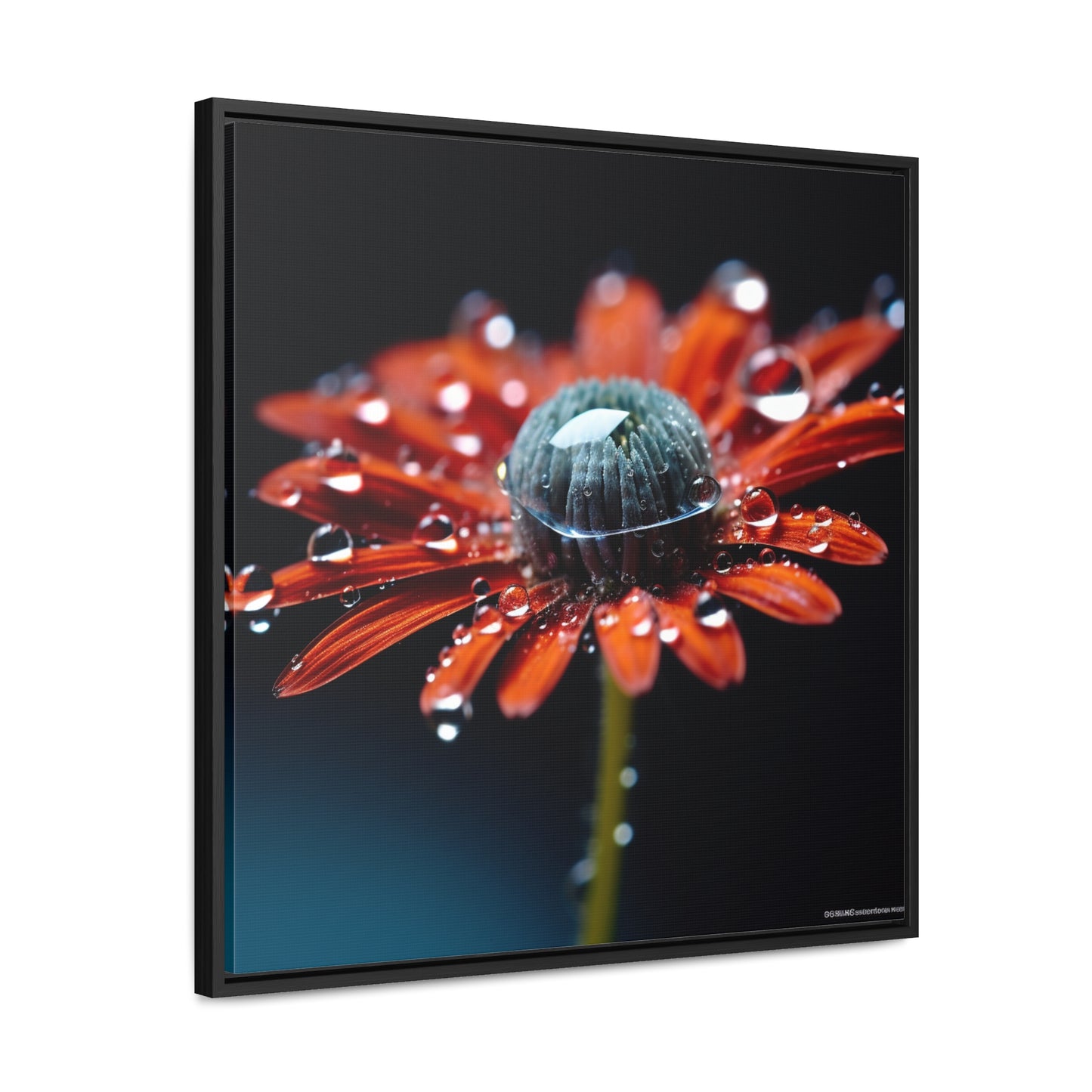 Gallery Canvas Wraps, Square Frame Water drop Macro Flower 1