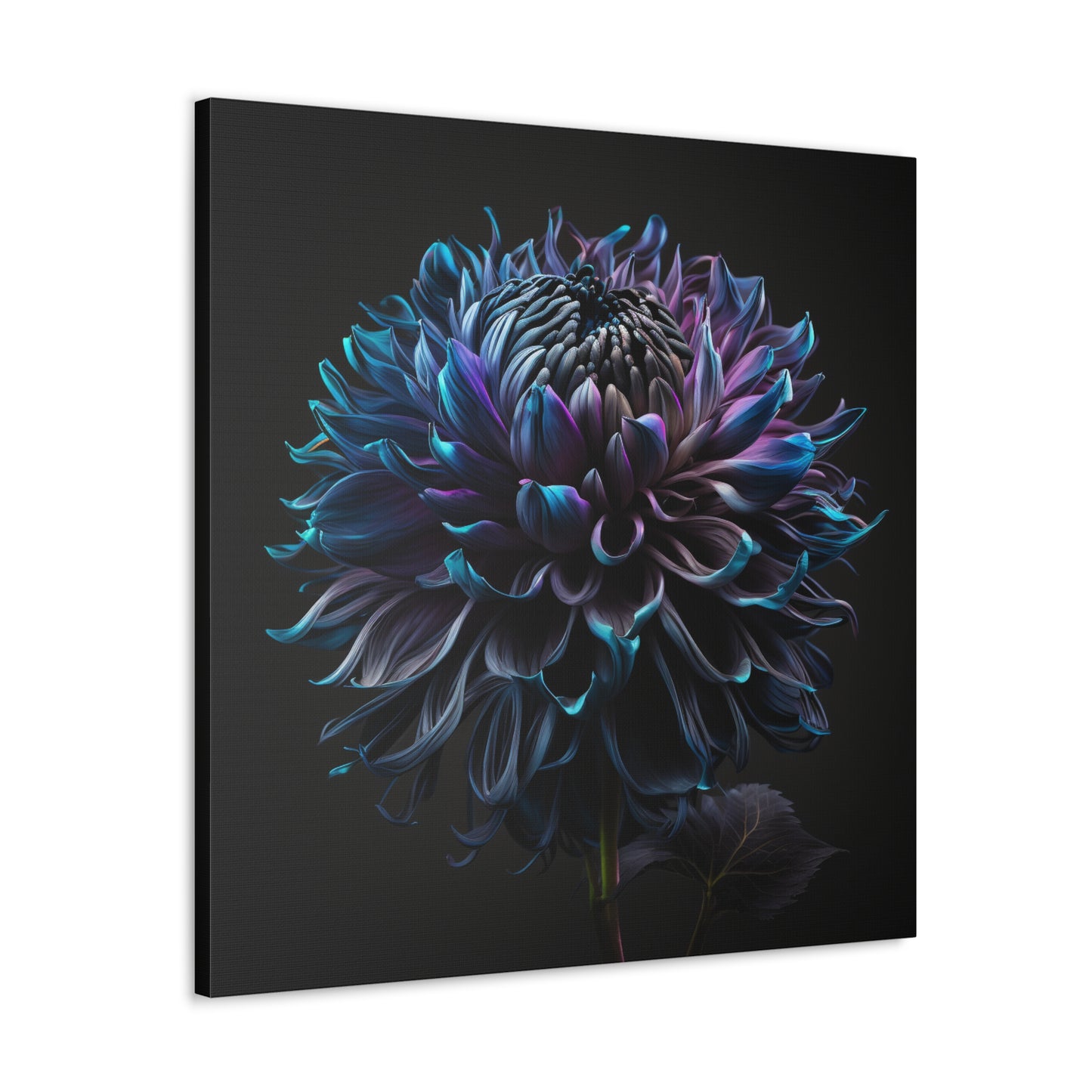 Canvas Gallery Wraps Dahlia Purple 3