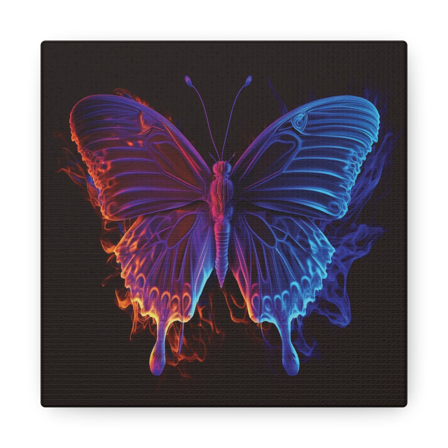 Canvas Gallery Wraps Thermal Butterfly 1