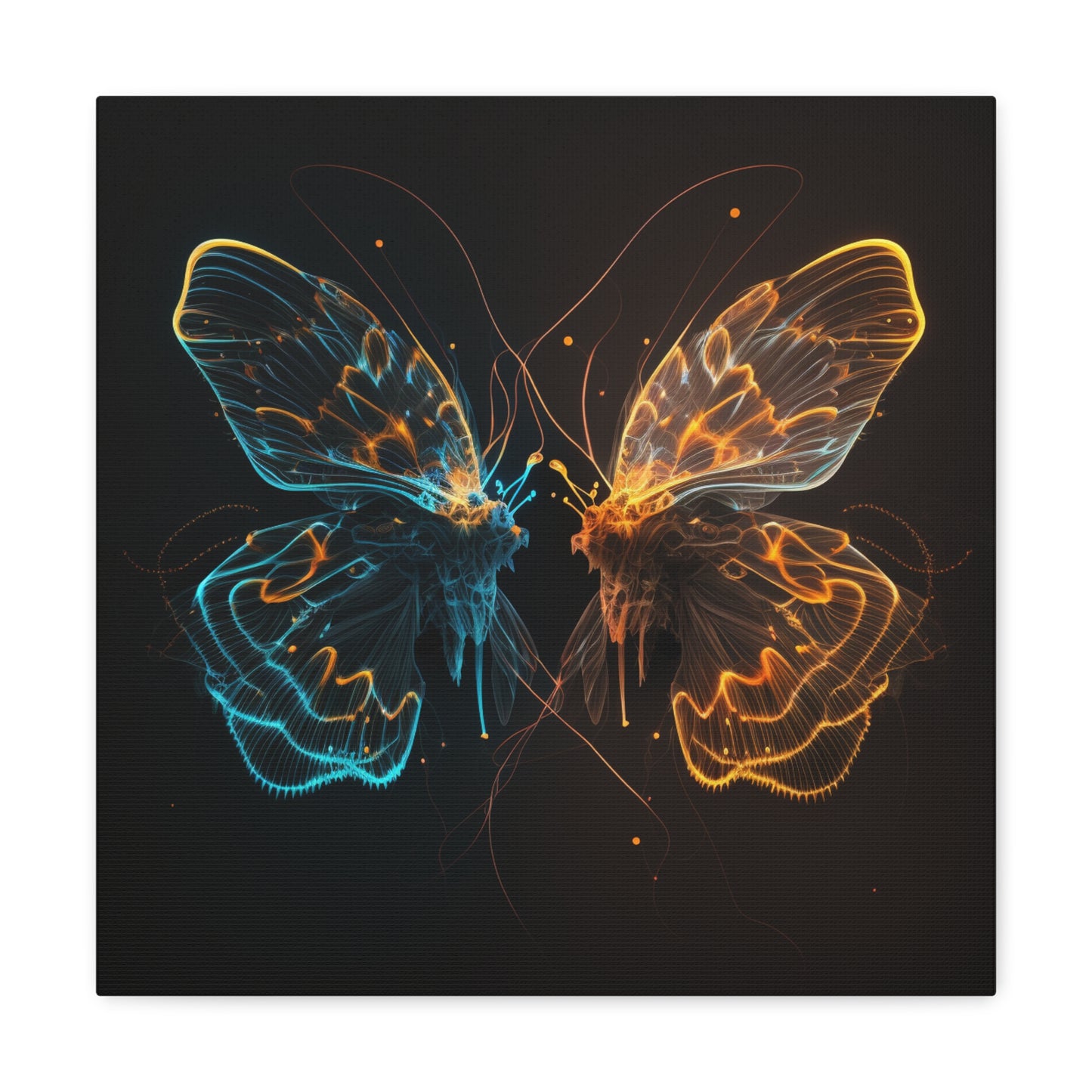 Canvas Gallery Wraps Neon Glo Butterfly 1