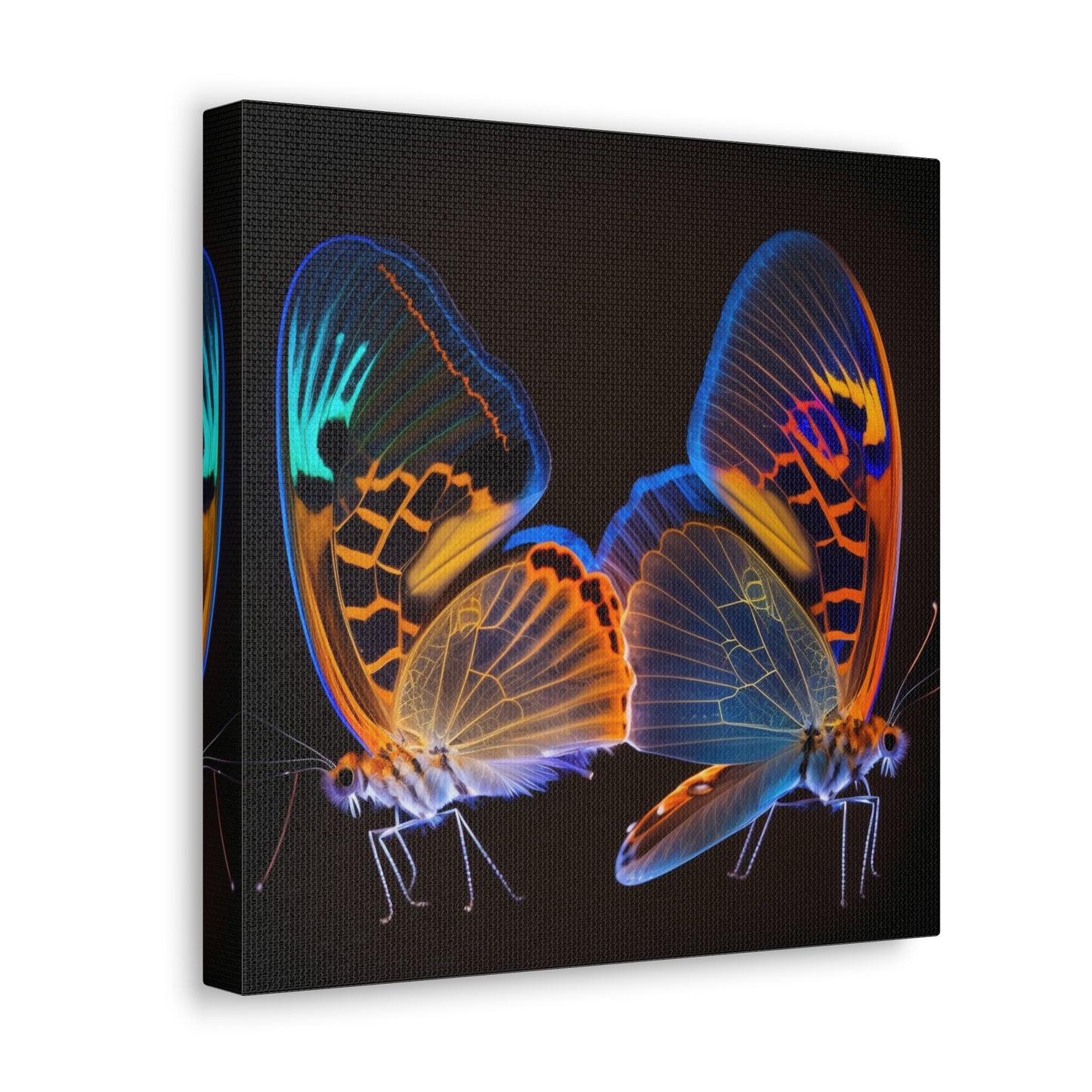 Canvas Gallery Wraps Neon Glo Butterfly 2