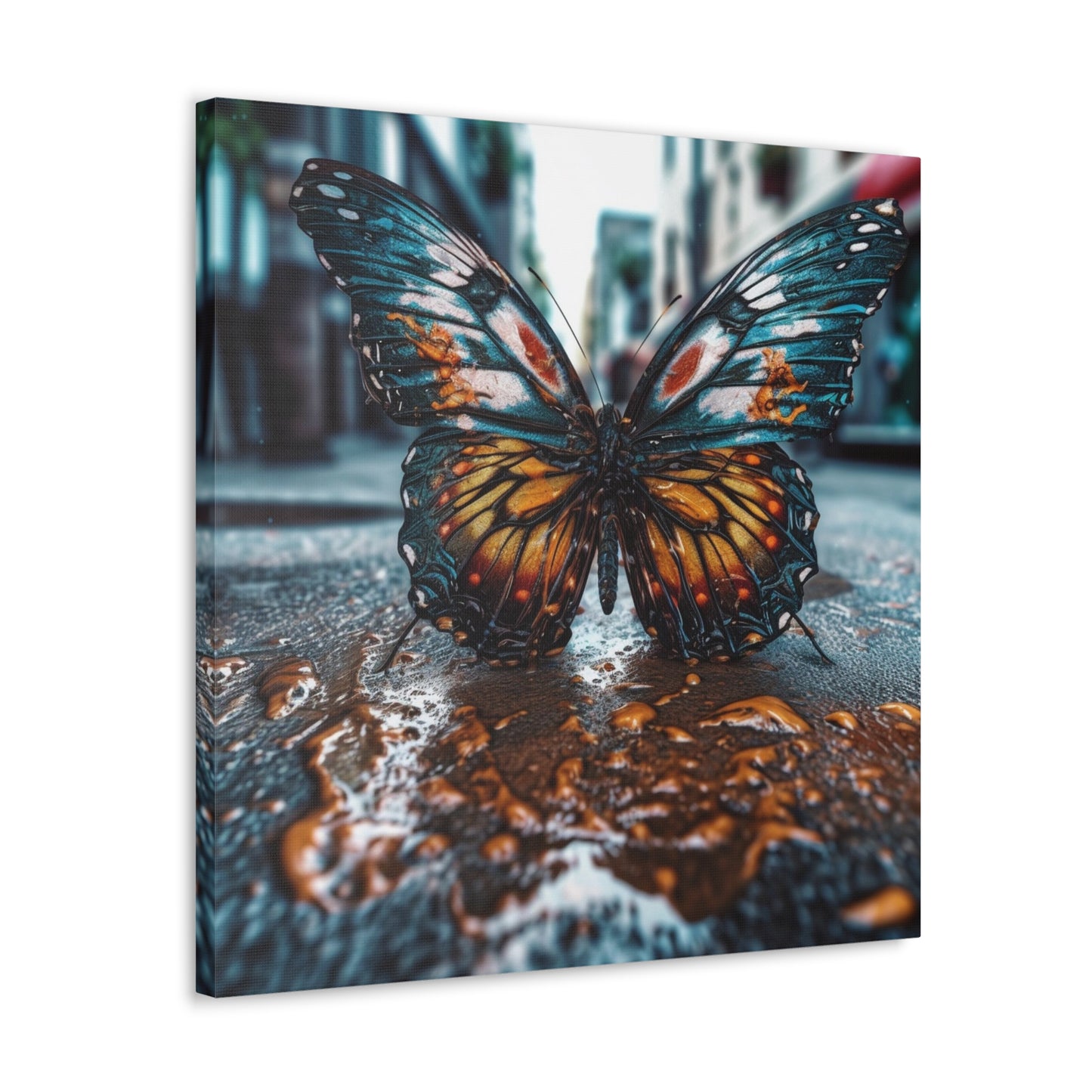 Canvas Gallery Wraps Water Butterfly Street 3