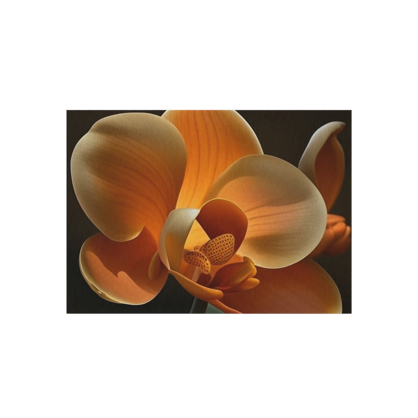 Outdoor Rug  Orange Orchid 4