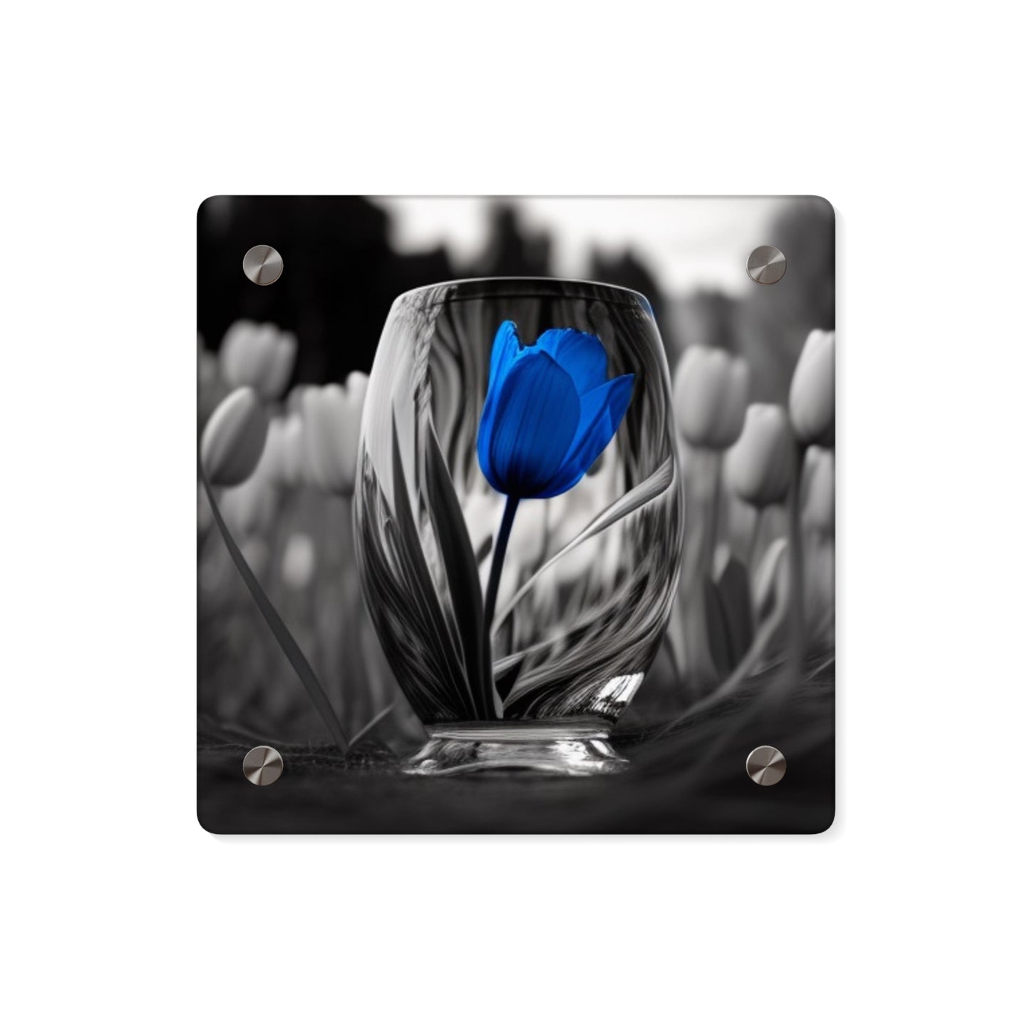 Acrylic Wall Art Panels Tulip 4