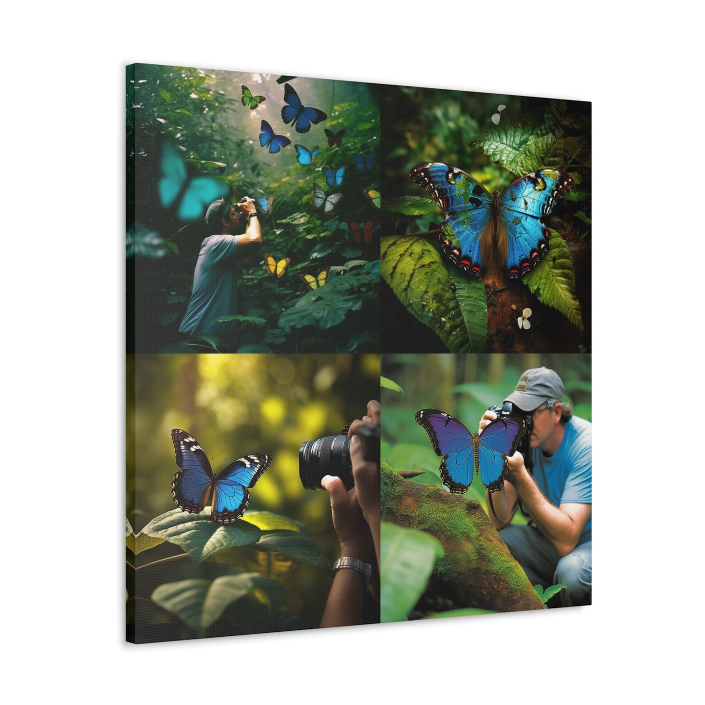 Canvas Gallery Wraps Jungle Butterfly 5