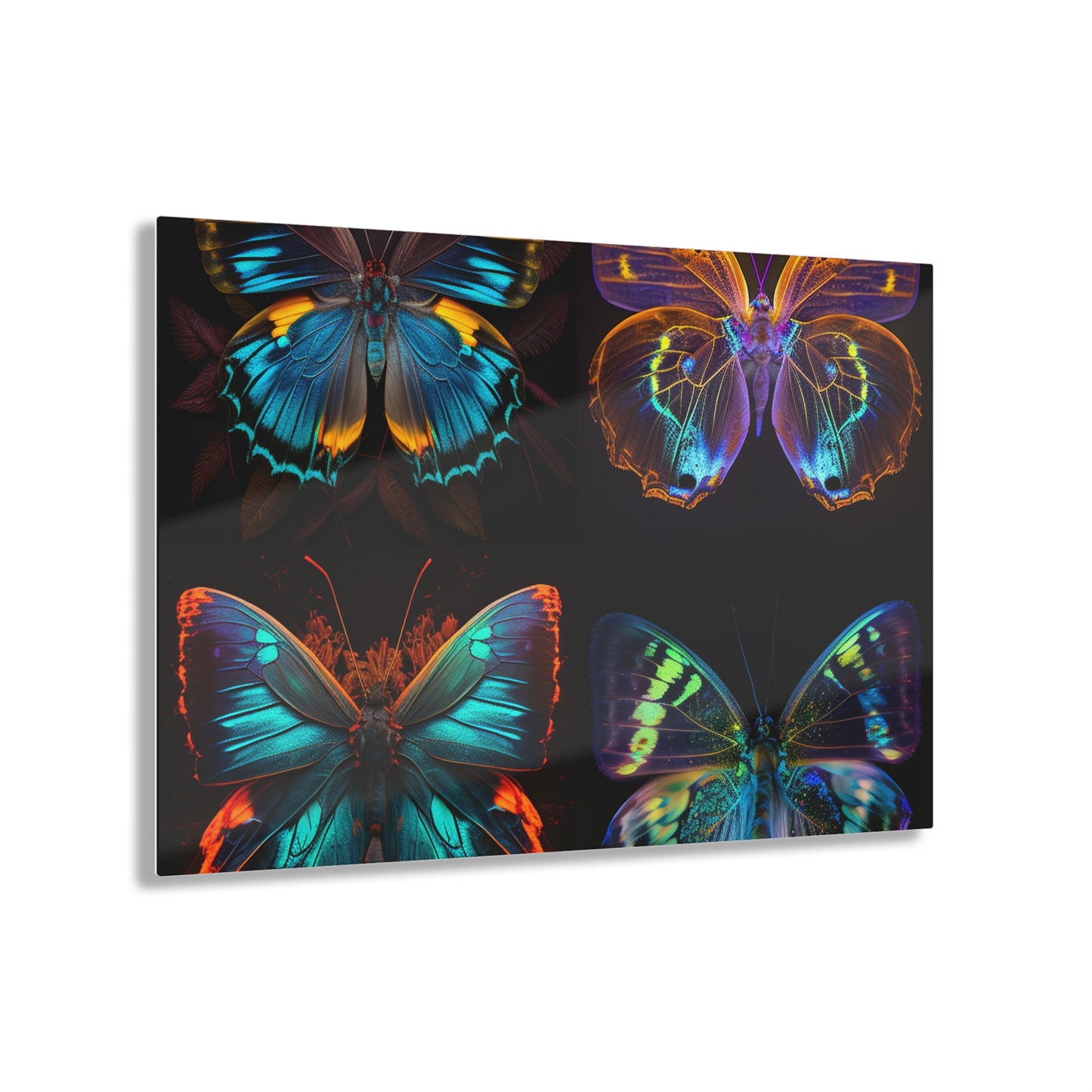 Acrylic Prints Neon Butterfly Flair 5