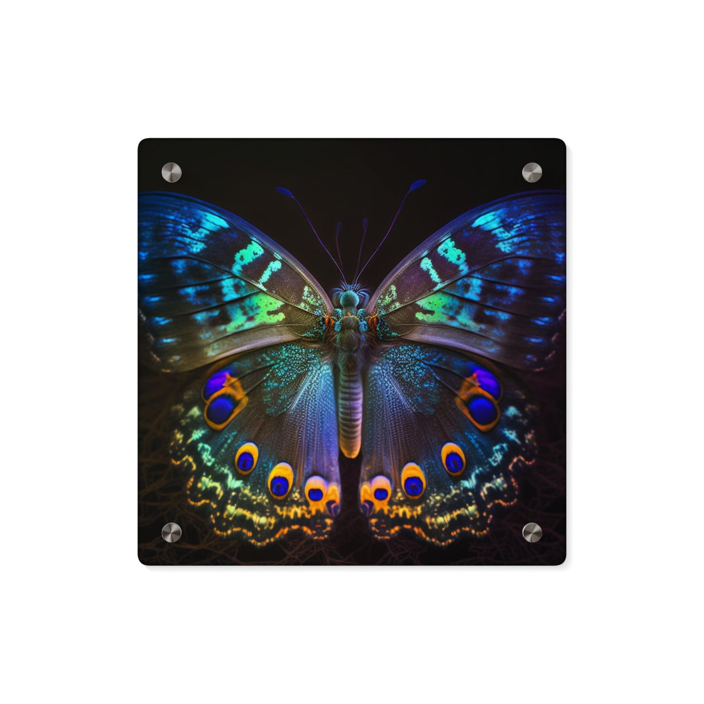 Acrylic Wall Art Panels Neon Hue Butterfly 3