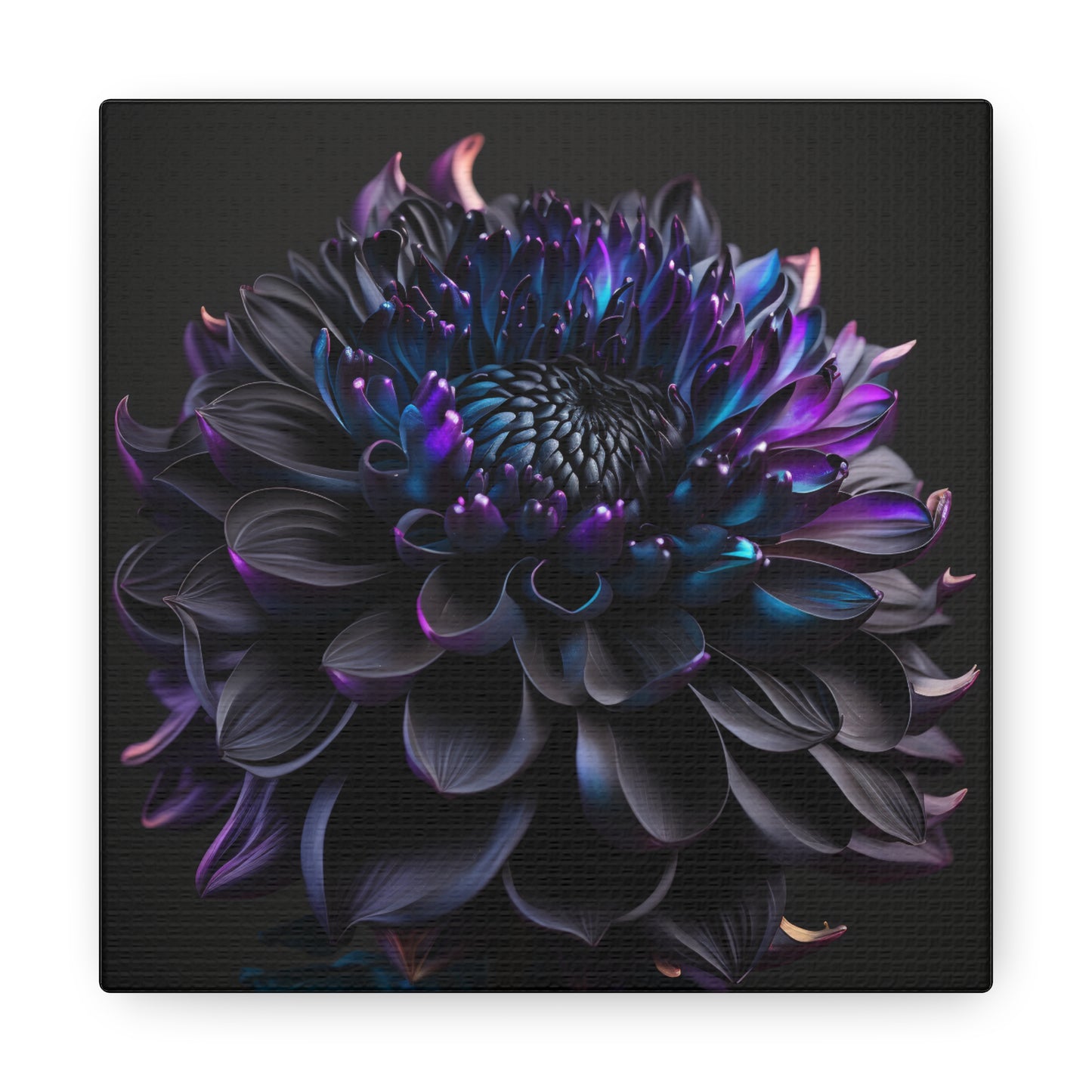 Canvas Gallery Wraps Dahlia Purple 2