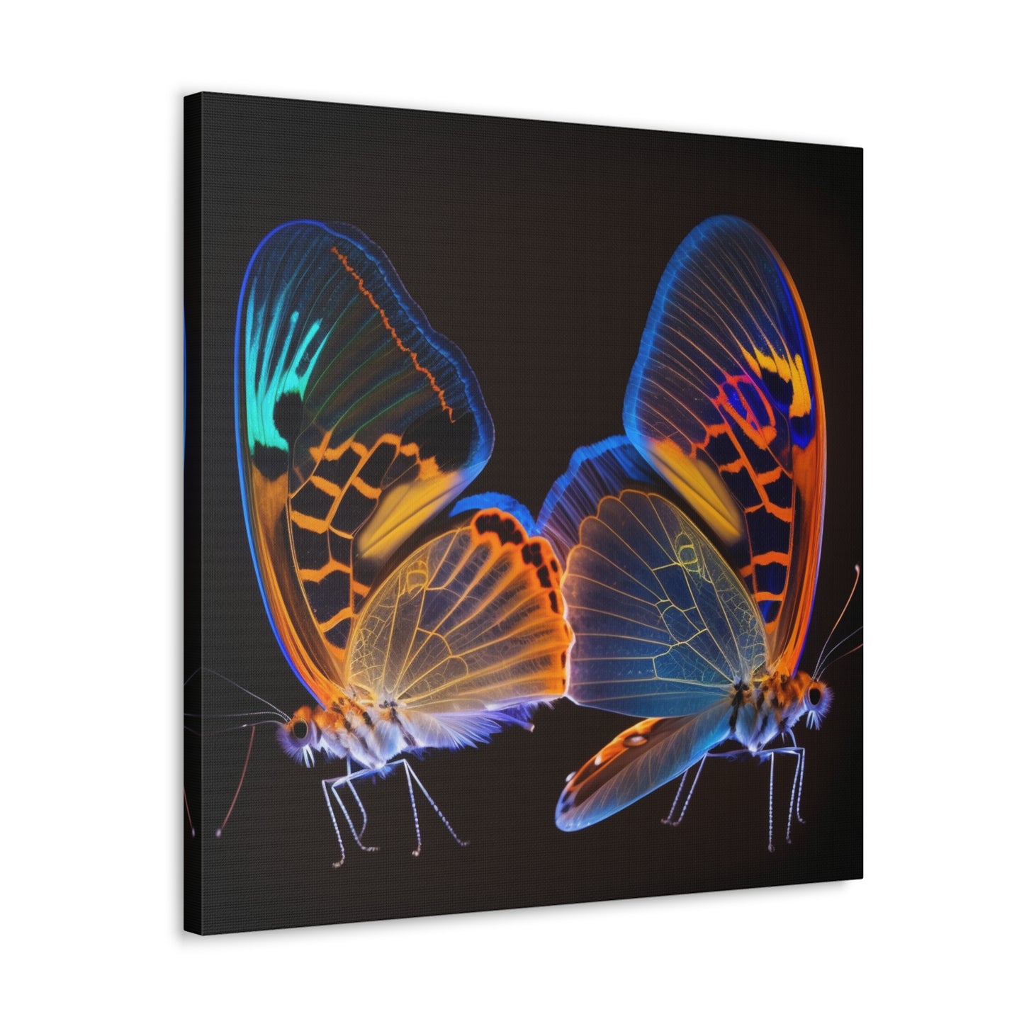 Canvas Gallery Wraps Neon Glo Butterfly 2