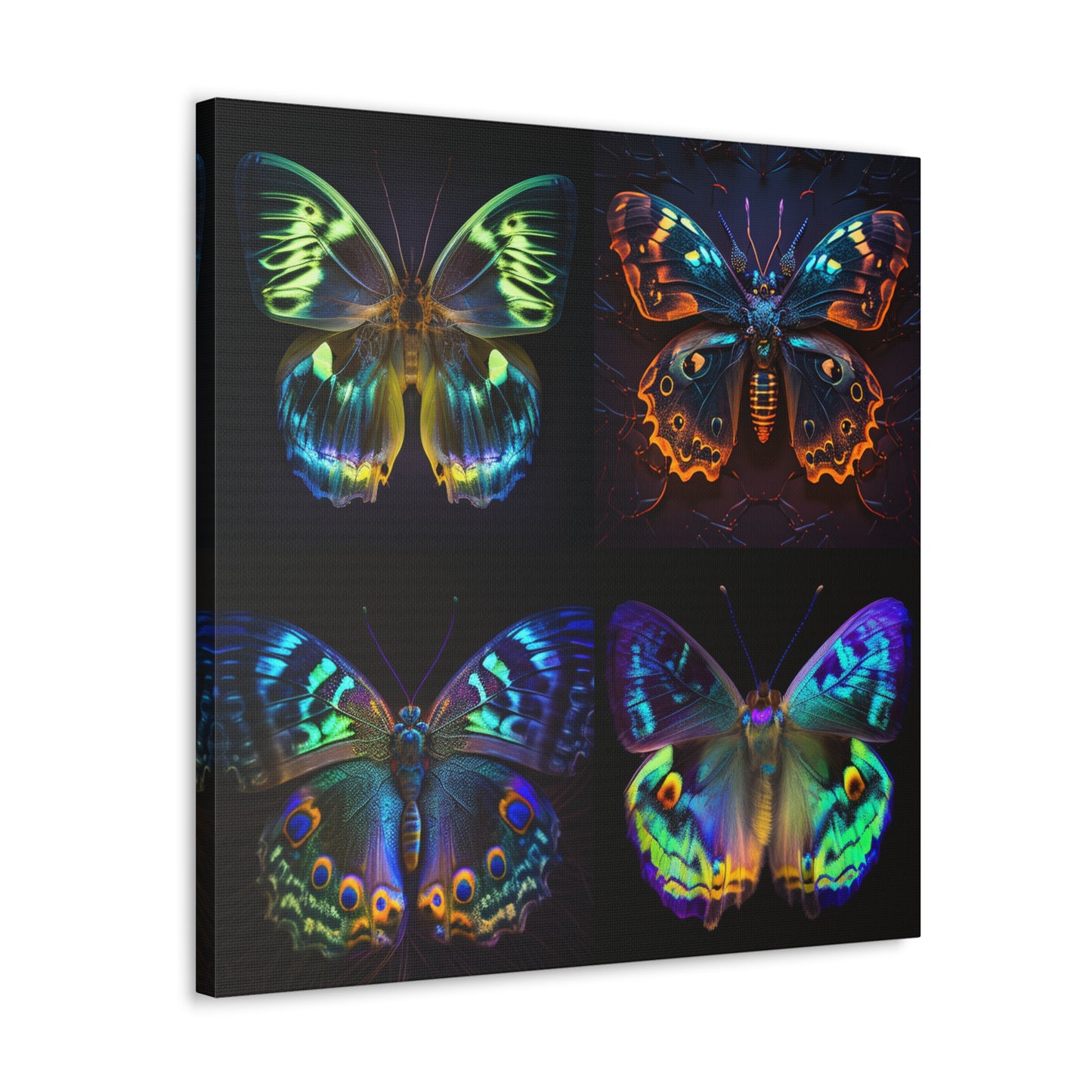 Canvas Gallery Wraps Neon Hue Butterfly 5