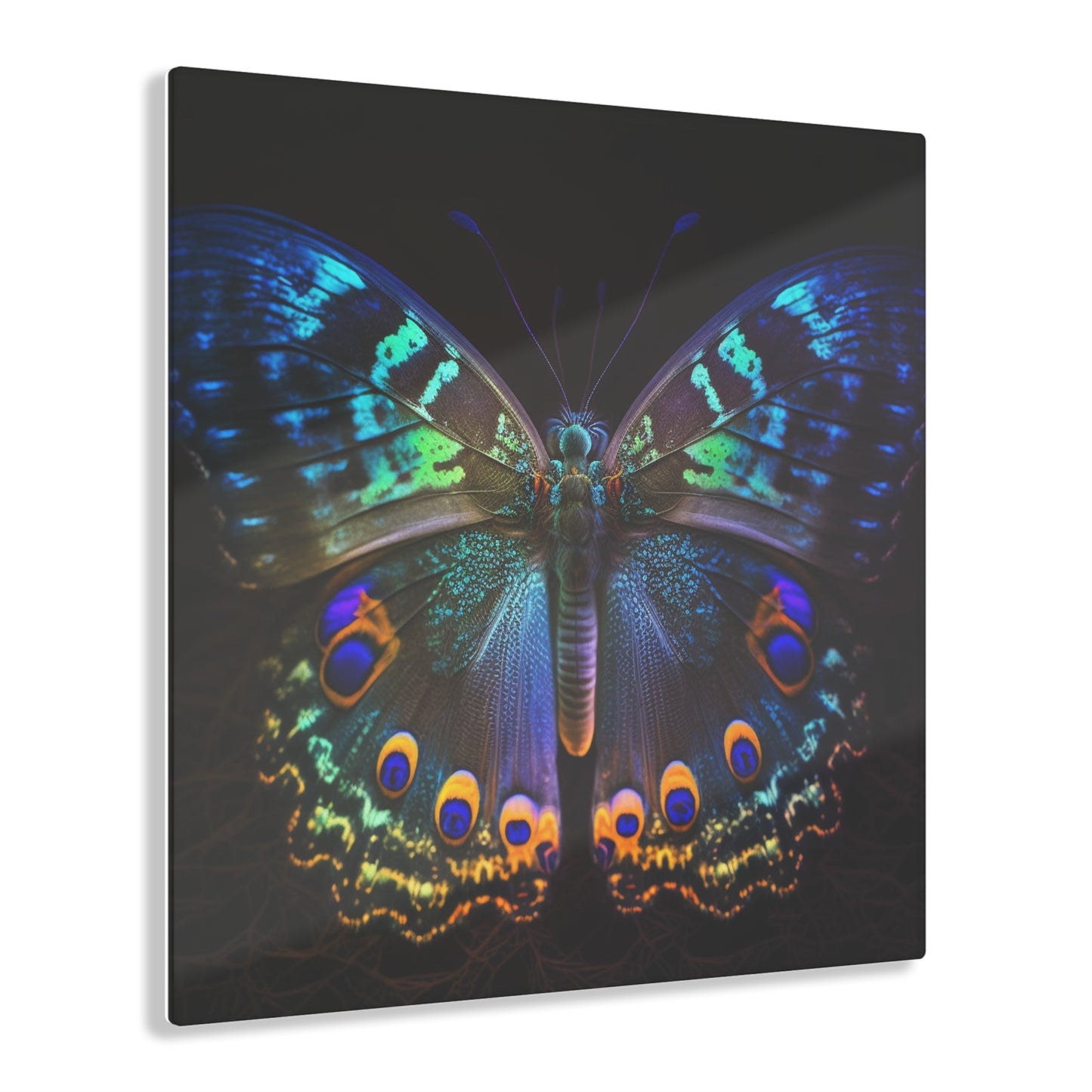 Acrylic Prints Neon Hue Butterfly 3