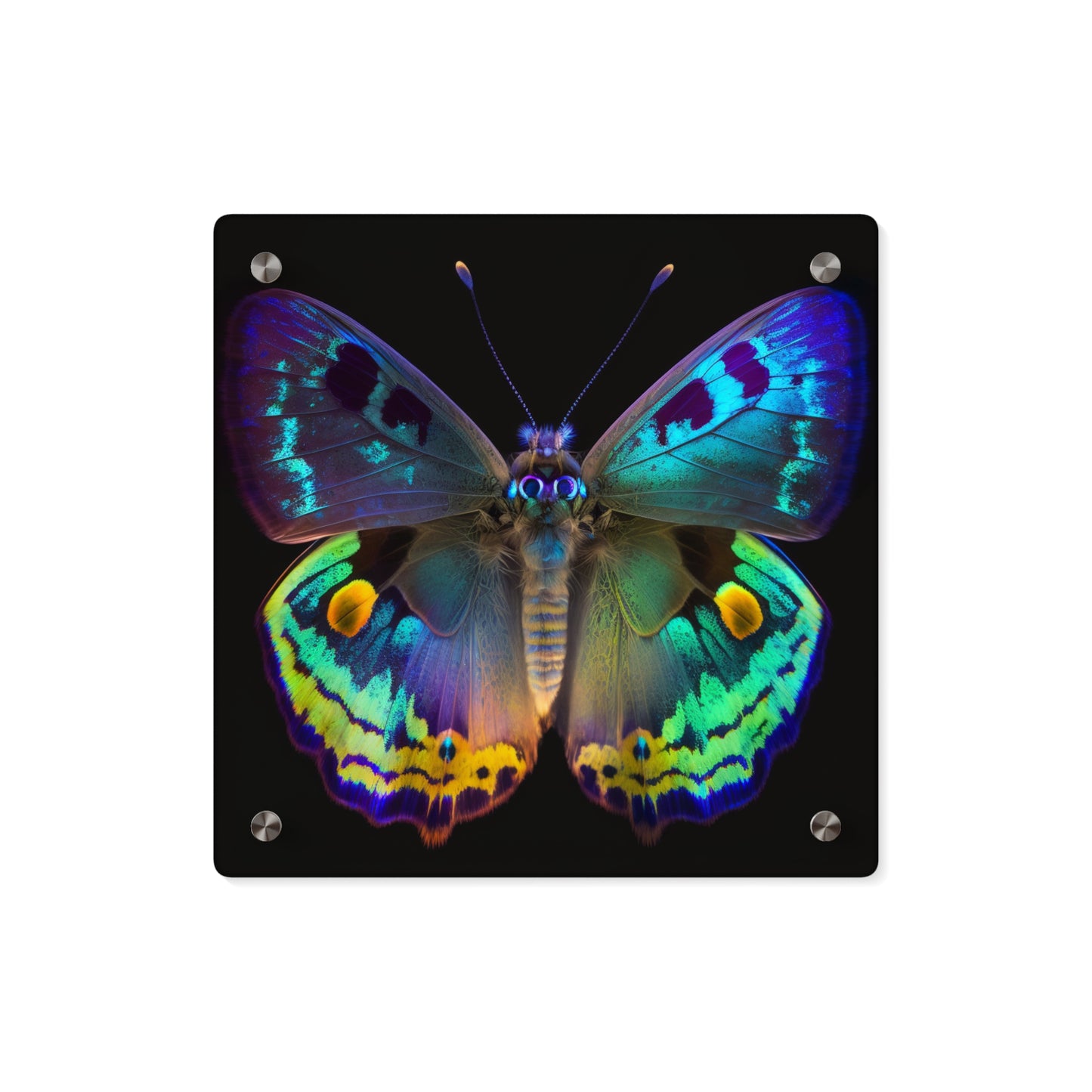 Acrylic Wall Art Panels Neon Hue Butterfly 4