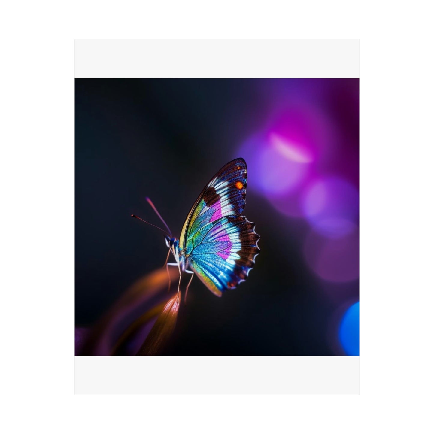 Premium Matte Vertical Posters Photo Realistic Butterfly 1