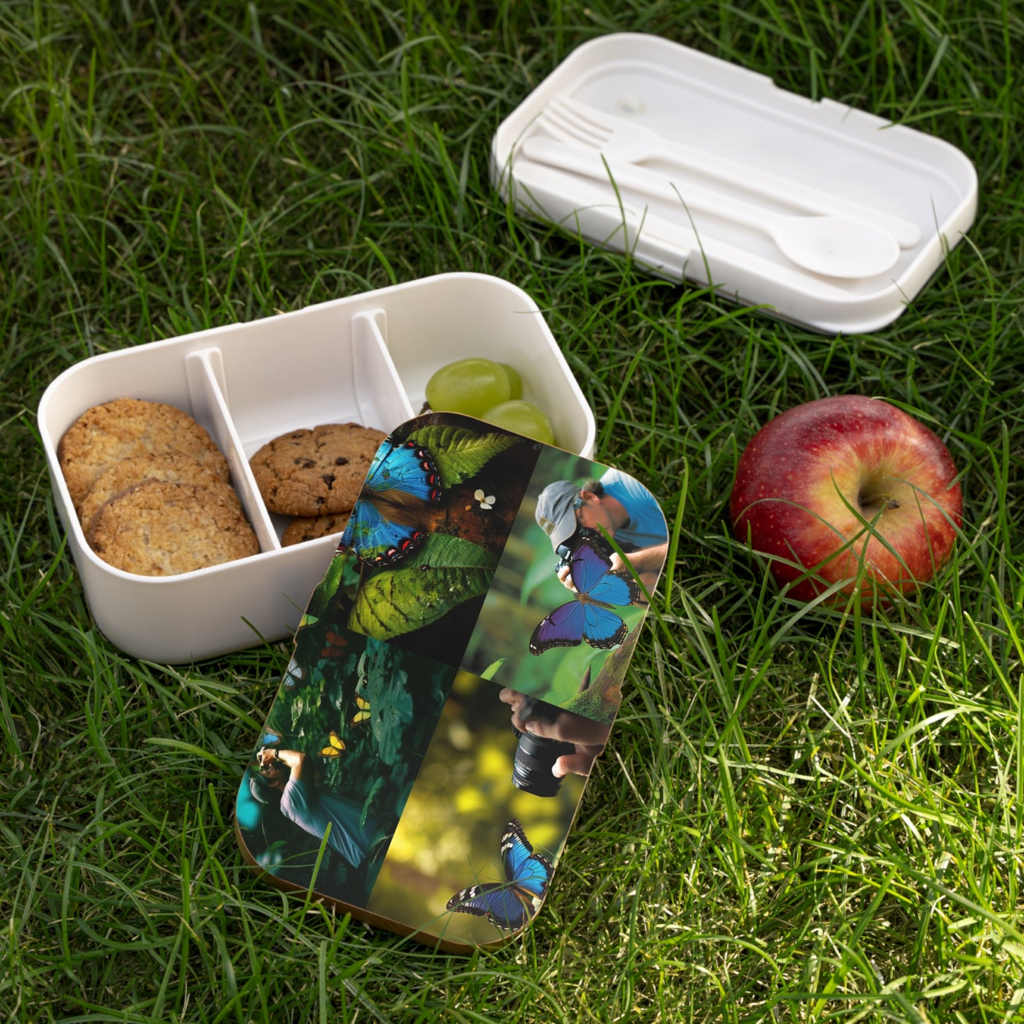 Bento Lunch Box Jungle Butterfly 5