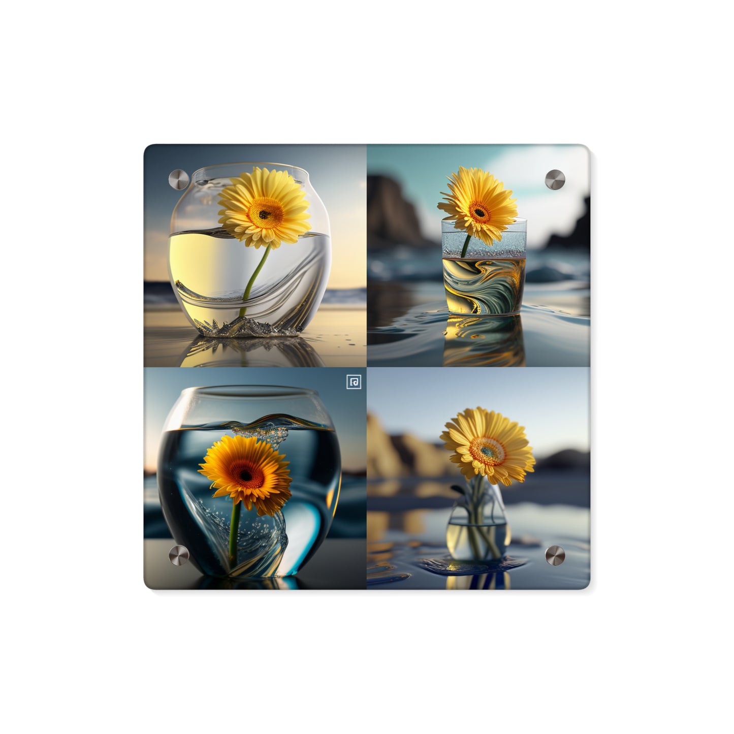 Acrylic Wall Art Panels yello Gerbera glass 5