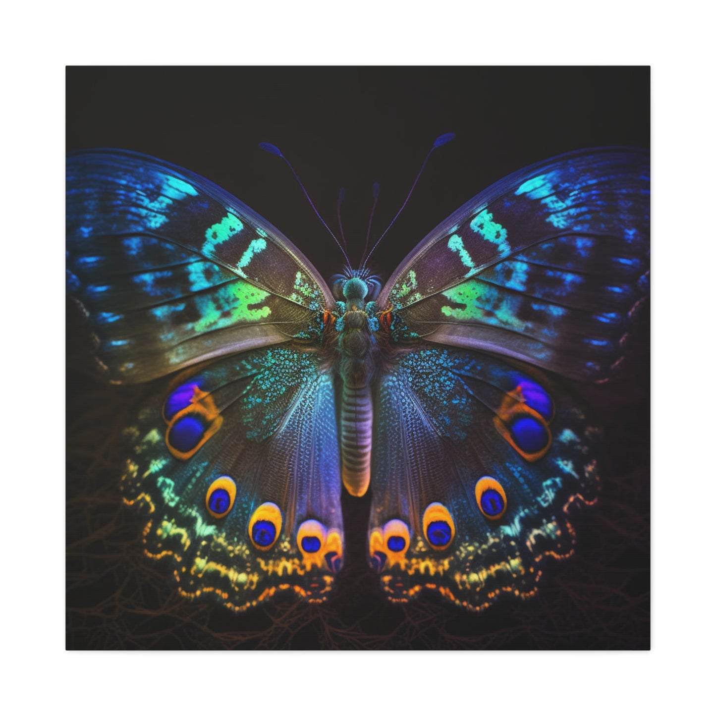 Canvas Gallery Wraps Neon Hue Butterfly 3
