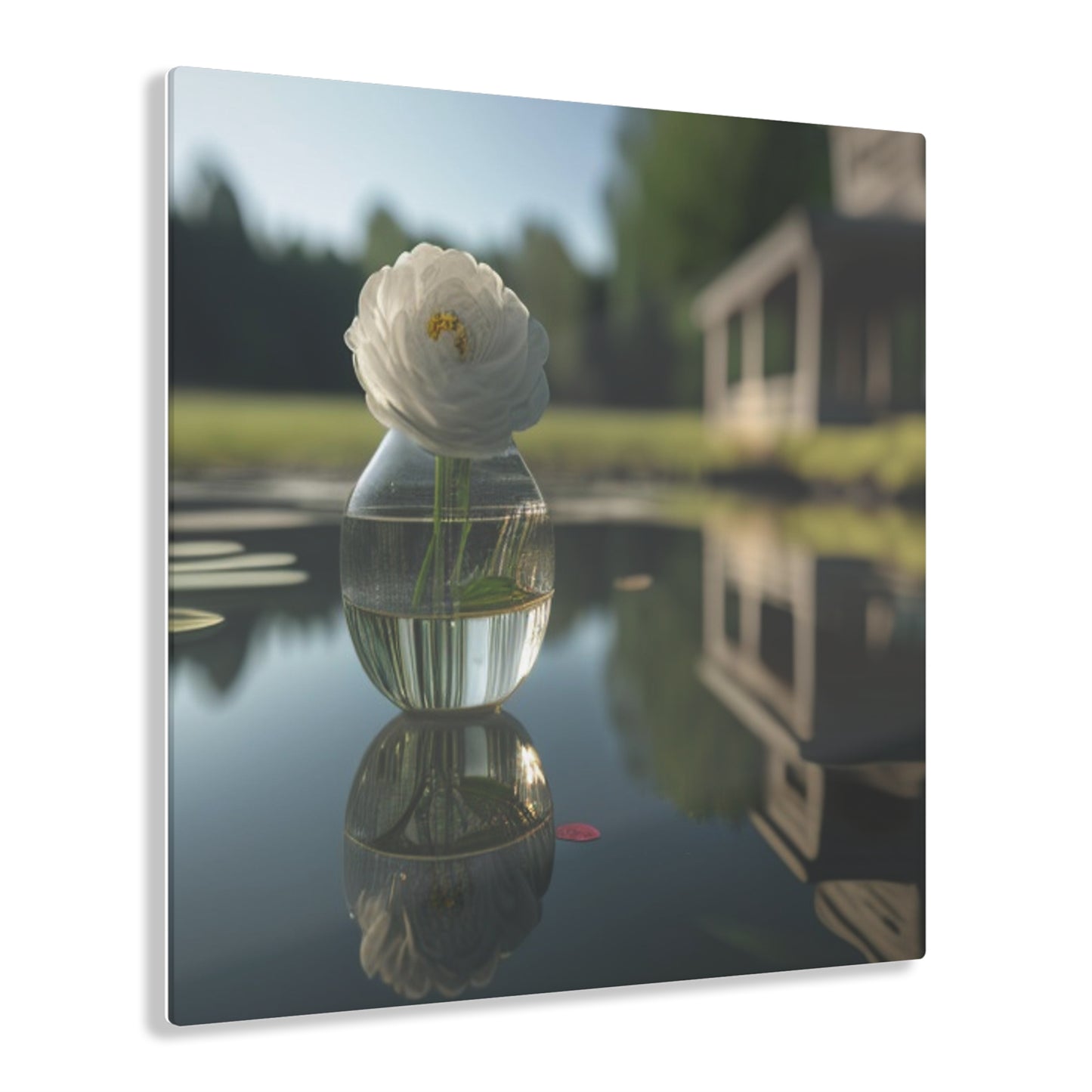 Acrylic Prints White Peony glass vase 1