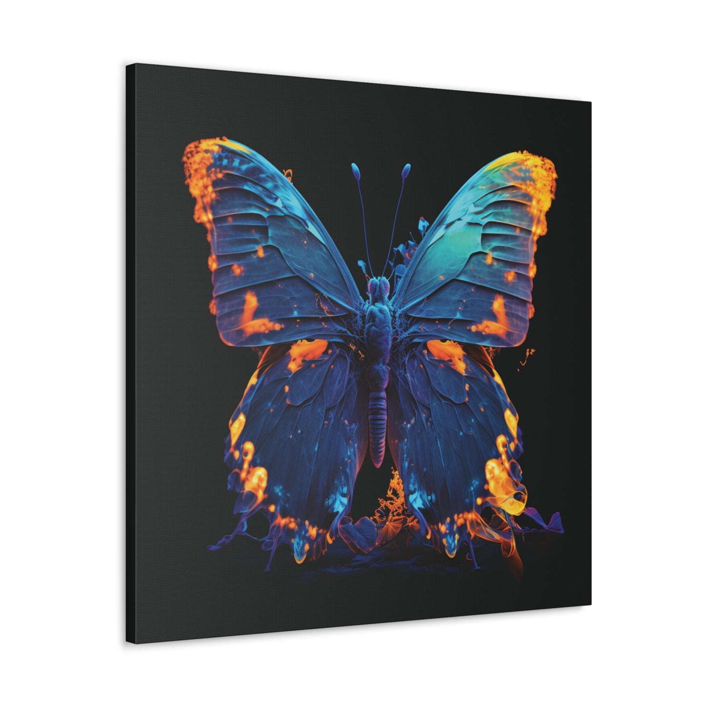 Canvas Gallery Wraps Thermal Butterfly 3