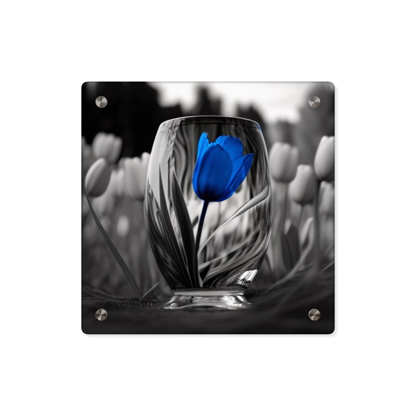 Acrylic Wall Art Panels Tulip 4