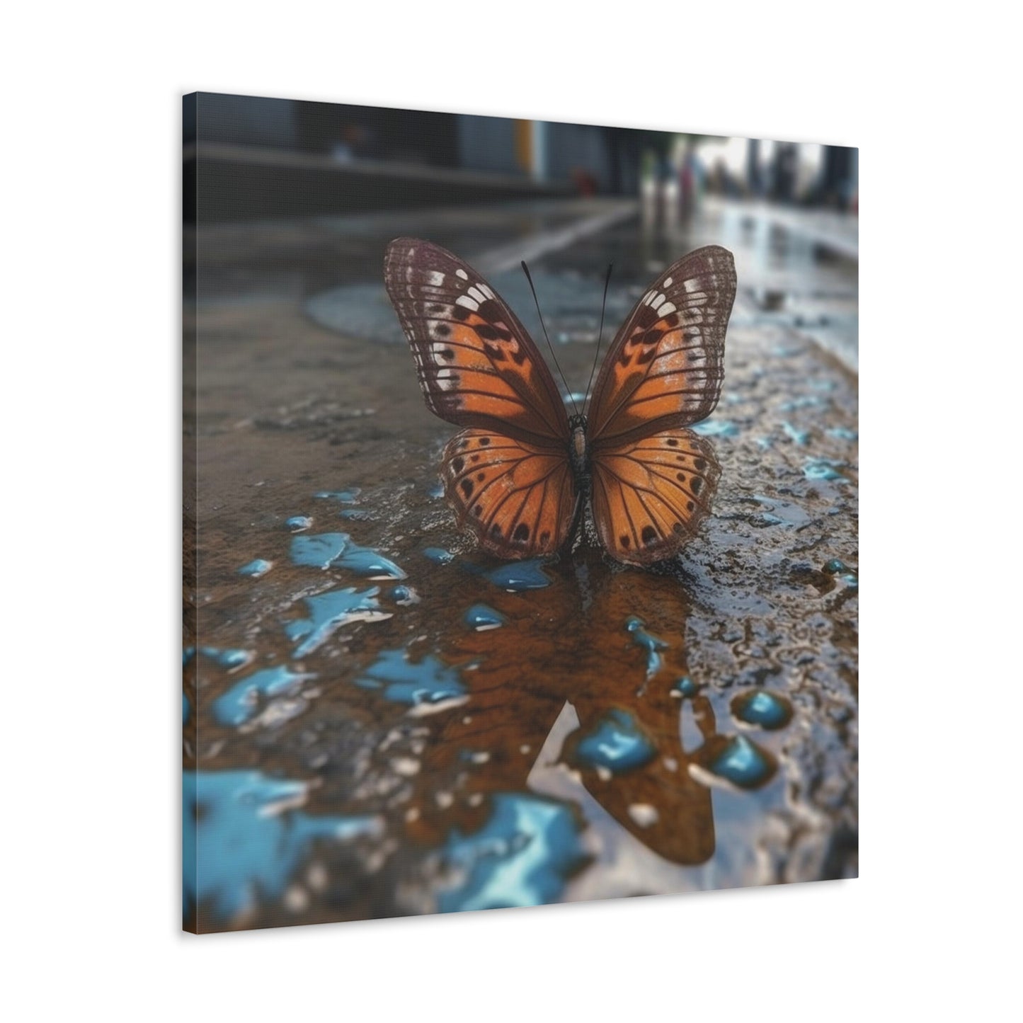 Canvas Gallery Wraps Water Butterfly Street 2