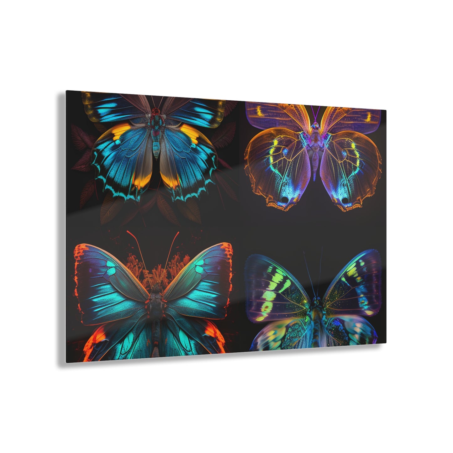 Acrylic Prints Neon Butterfly Flair 5