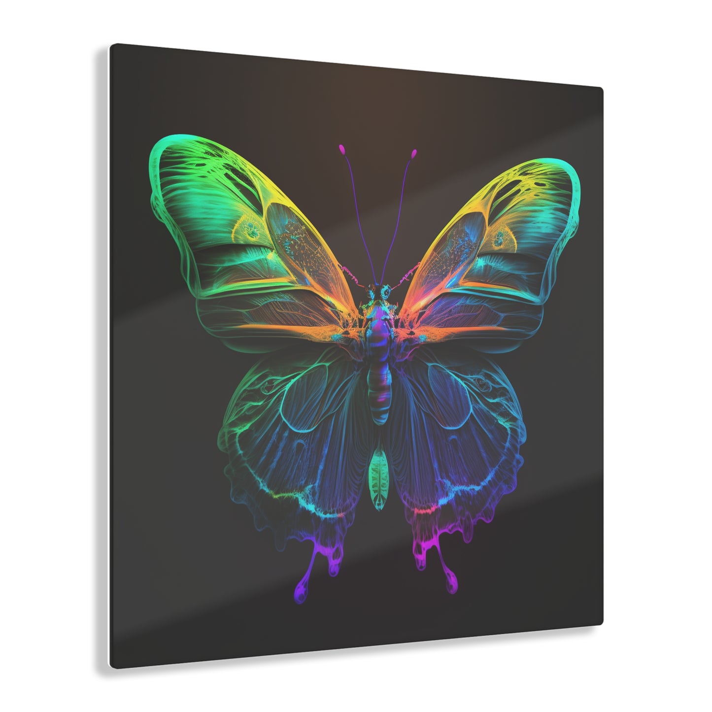 Acrylic Prints Raw Hyper Color Butterfly 3