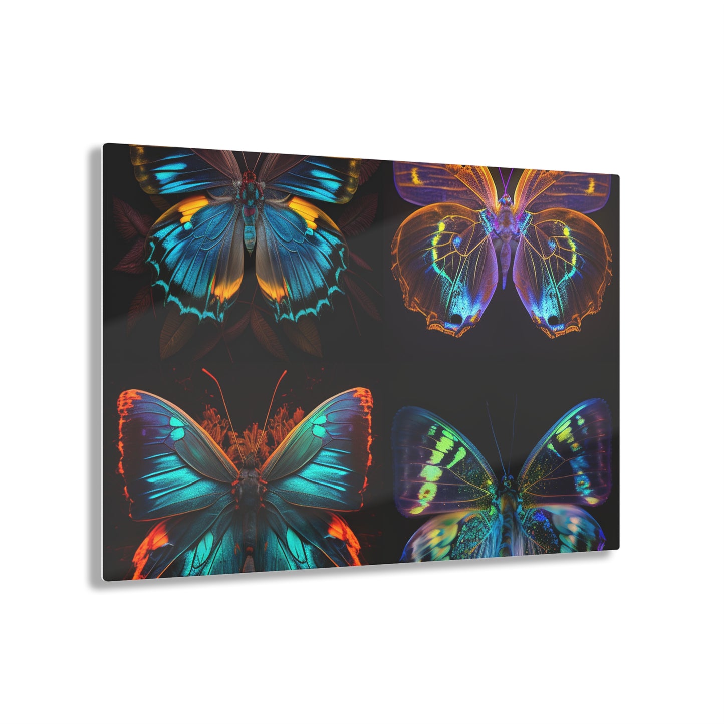 Acrylic Prints Neon Butterfly Flair 5