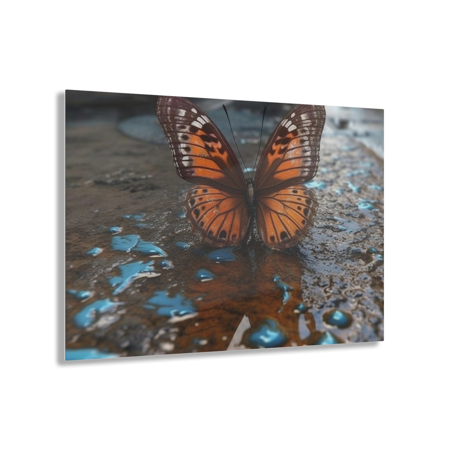 Acrylic Prints Water Butterfly Street 2