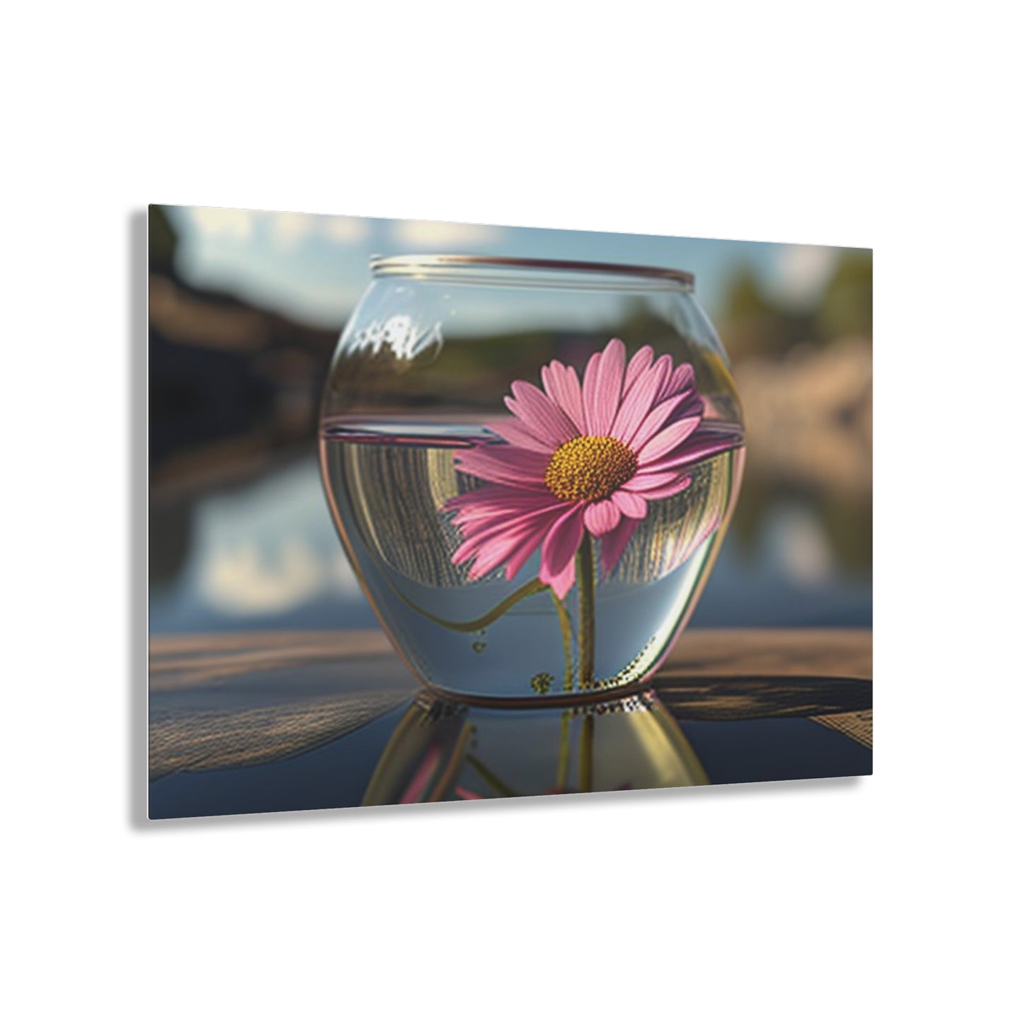 Acrylic Prints Pink Daisy 3