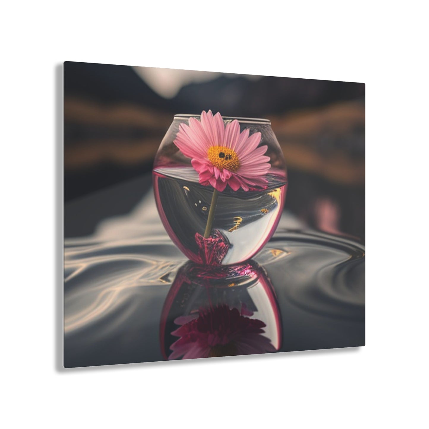 Acrylic Prints Pink Daisy 1