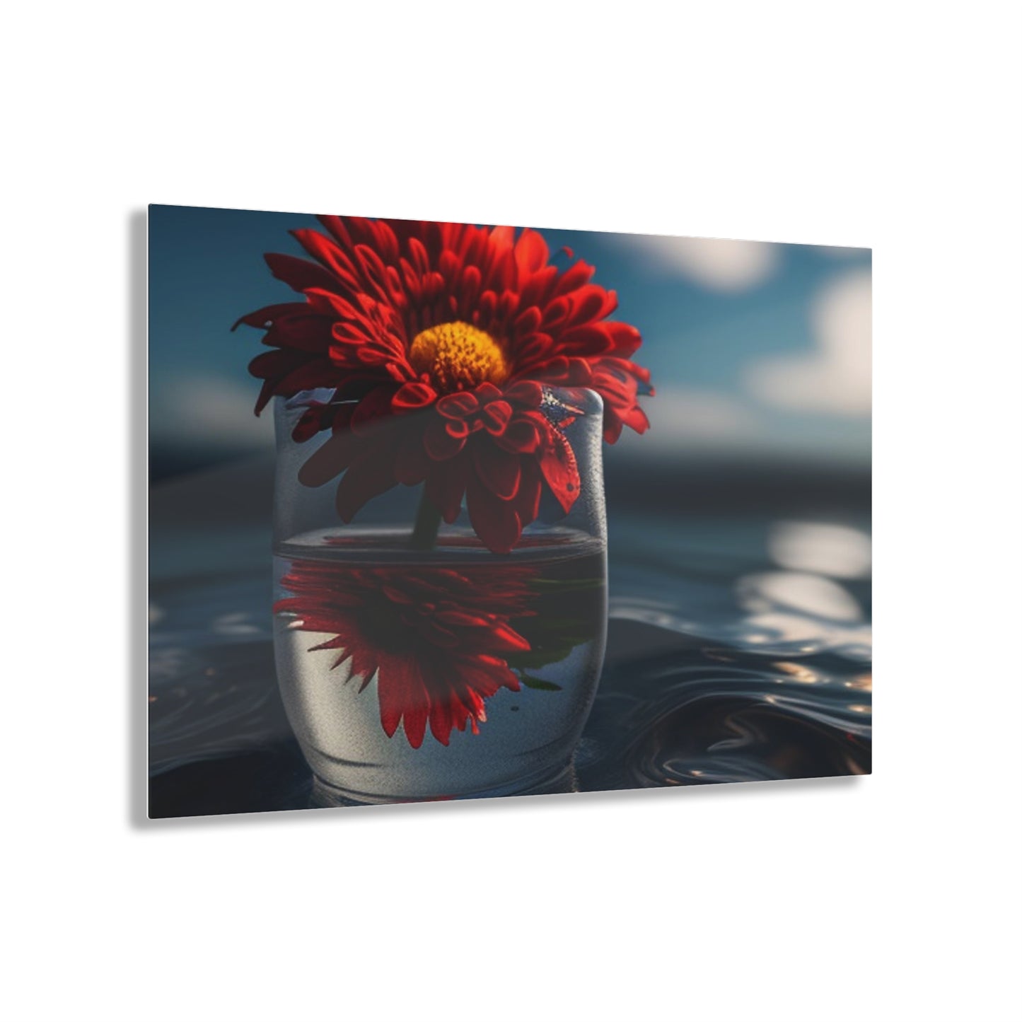 Acrylic Prints Chrysanthemum 3