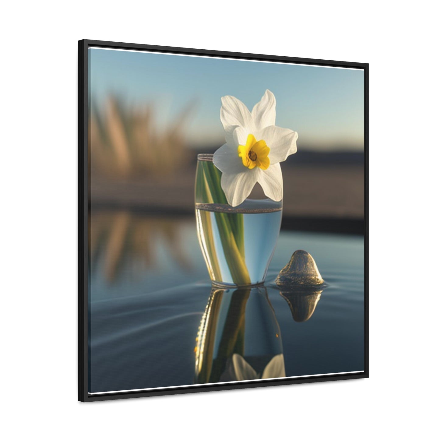 Gallery Canvas Wraps, Square Frame Daffodil 4