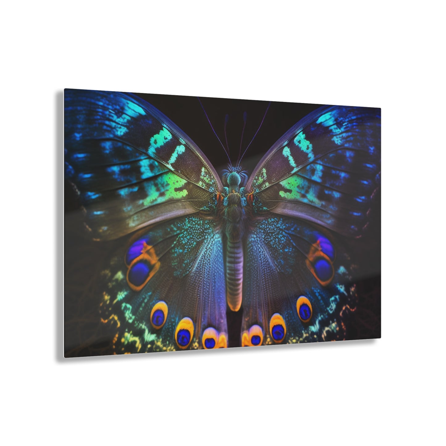 Acrylic Prints Neon Hue Butterfly 3