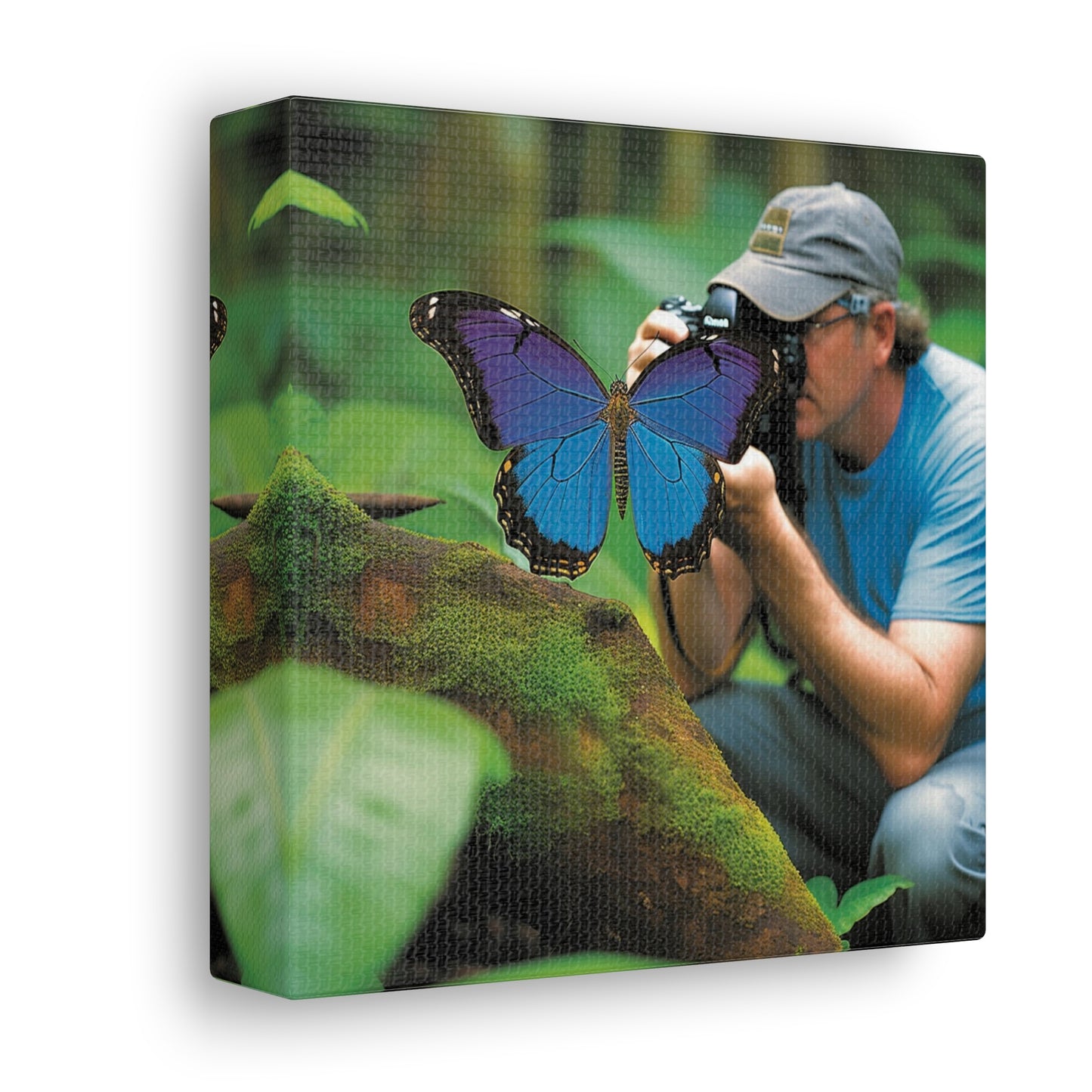 Canvas Gallery Wraps Jungle Butterfly 4