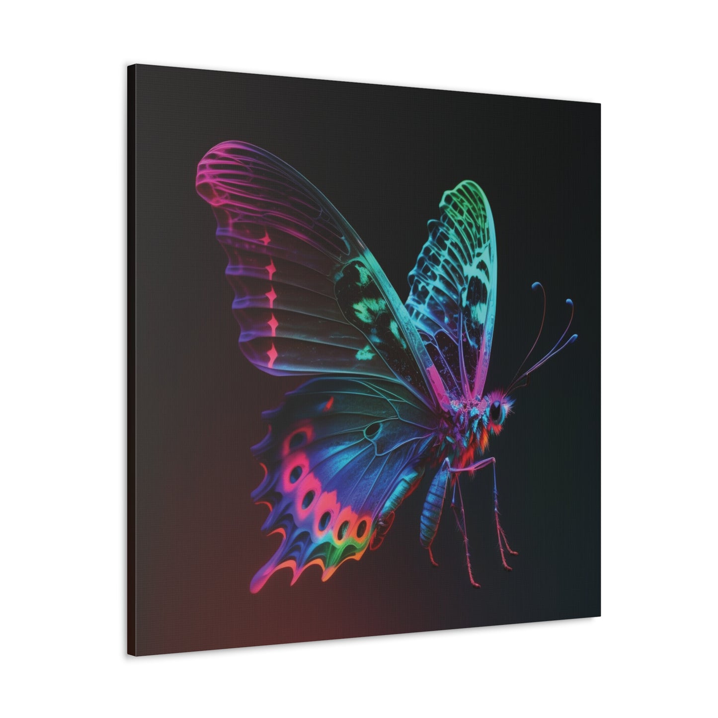 Canvas Gallery Wraps Raw Hyper Color Butterfly 1