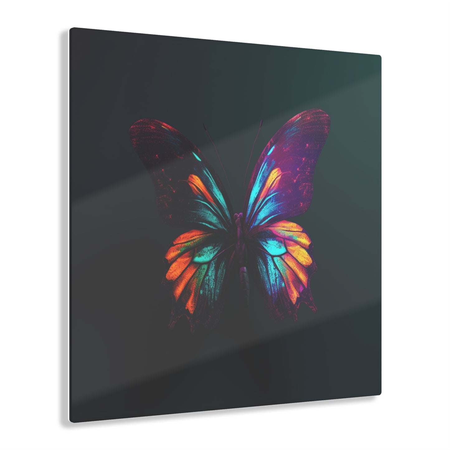 Acrylic Prints Hyper Colorful Butterfly Macro 4