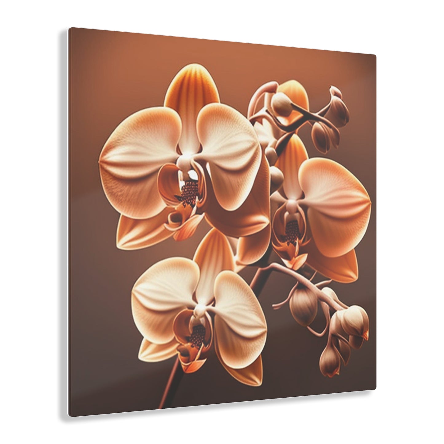 Acrylic Prints orchid pedals 3