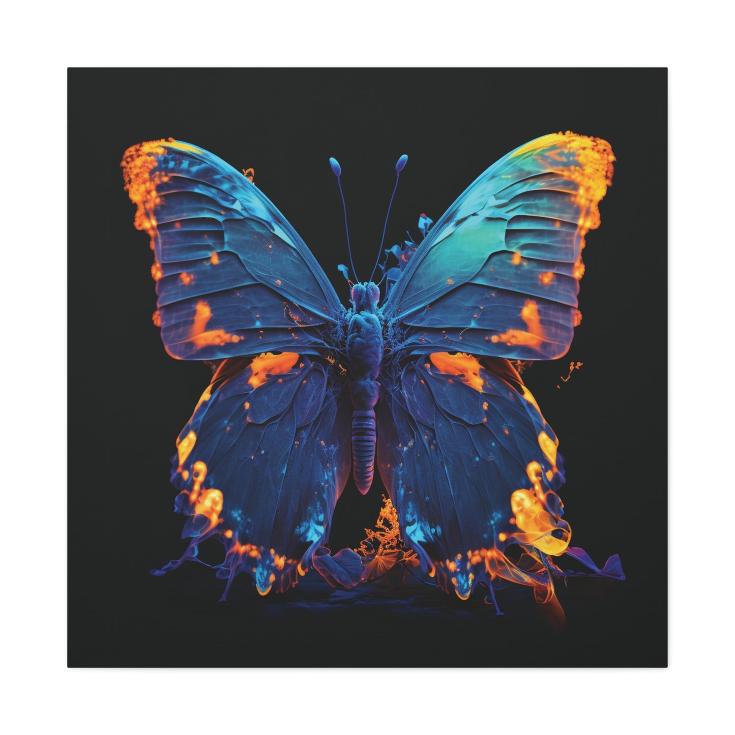 Canvas Gallery Wraps Thermal Butterfly 3