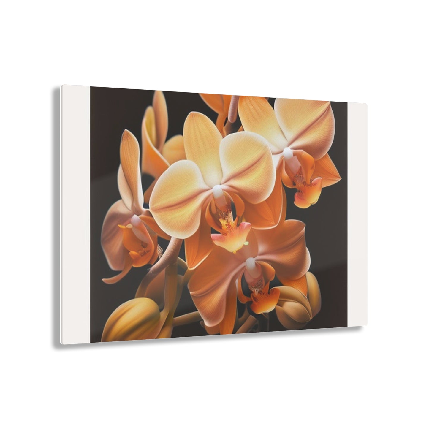 Acrylic Prints orchid pedals 1