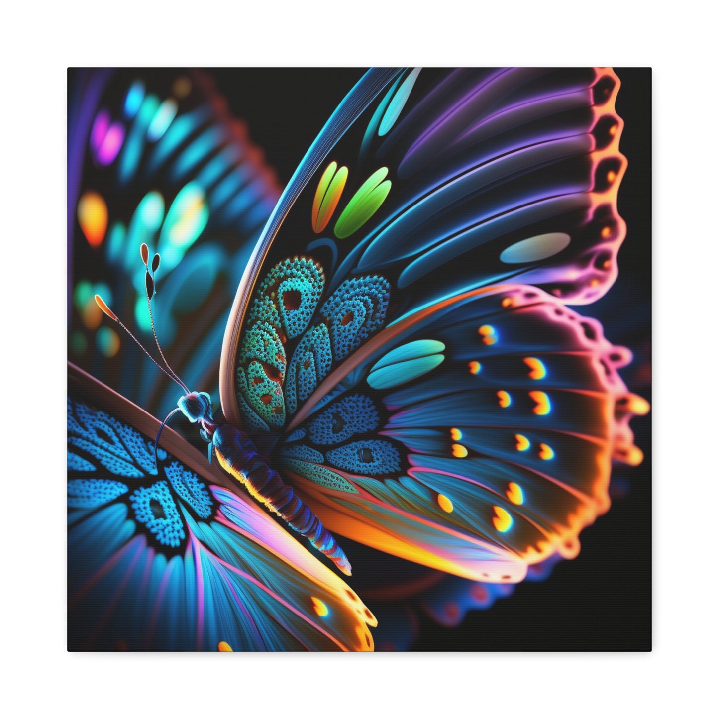 Canvas Gallery Wraps Neon Butterfly Macro 2