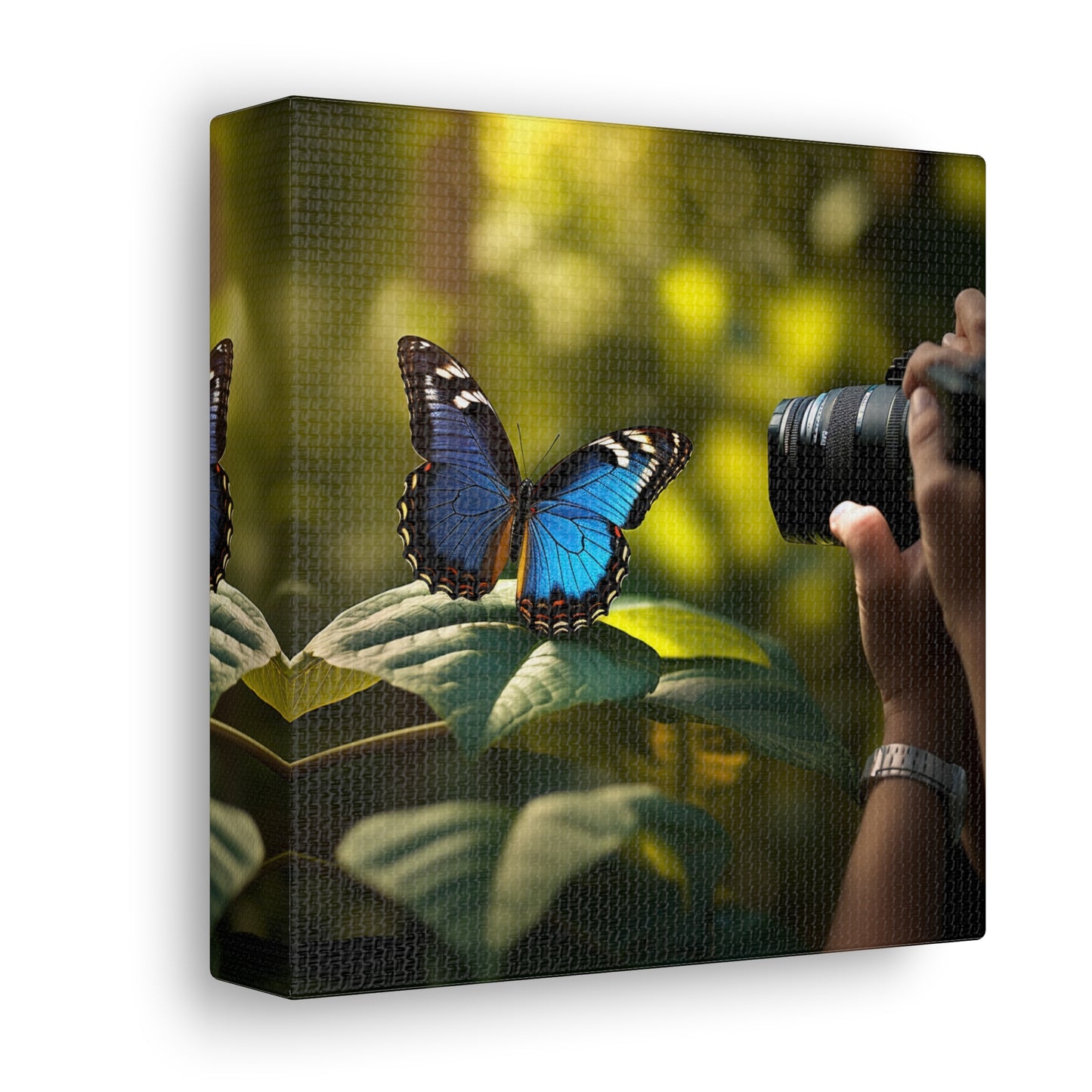 Canvas Gallery Wraps Jungle Butterfly 3