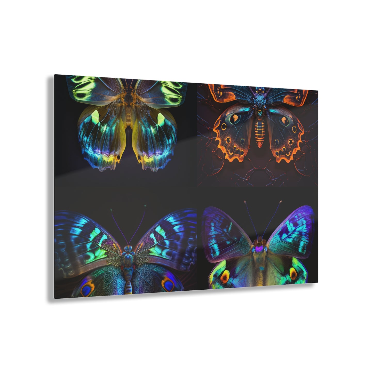 Acrylic Prints Neon Hue Butterfly 5